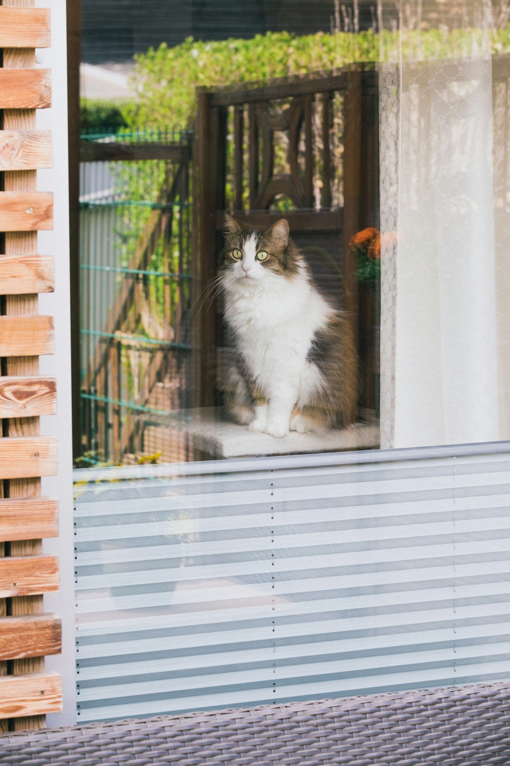 a cat sitting on a porch