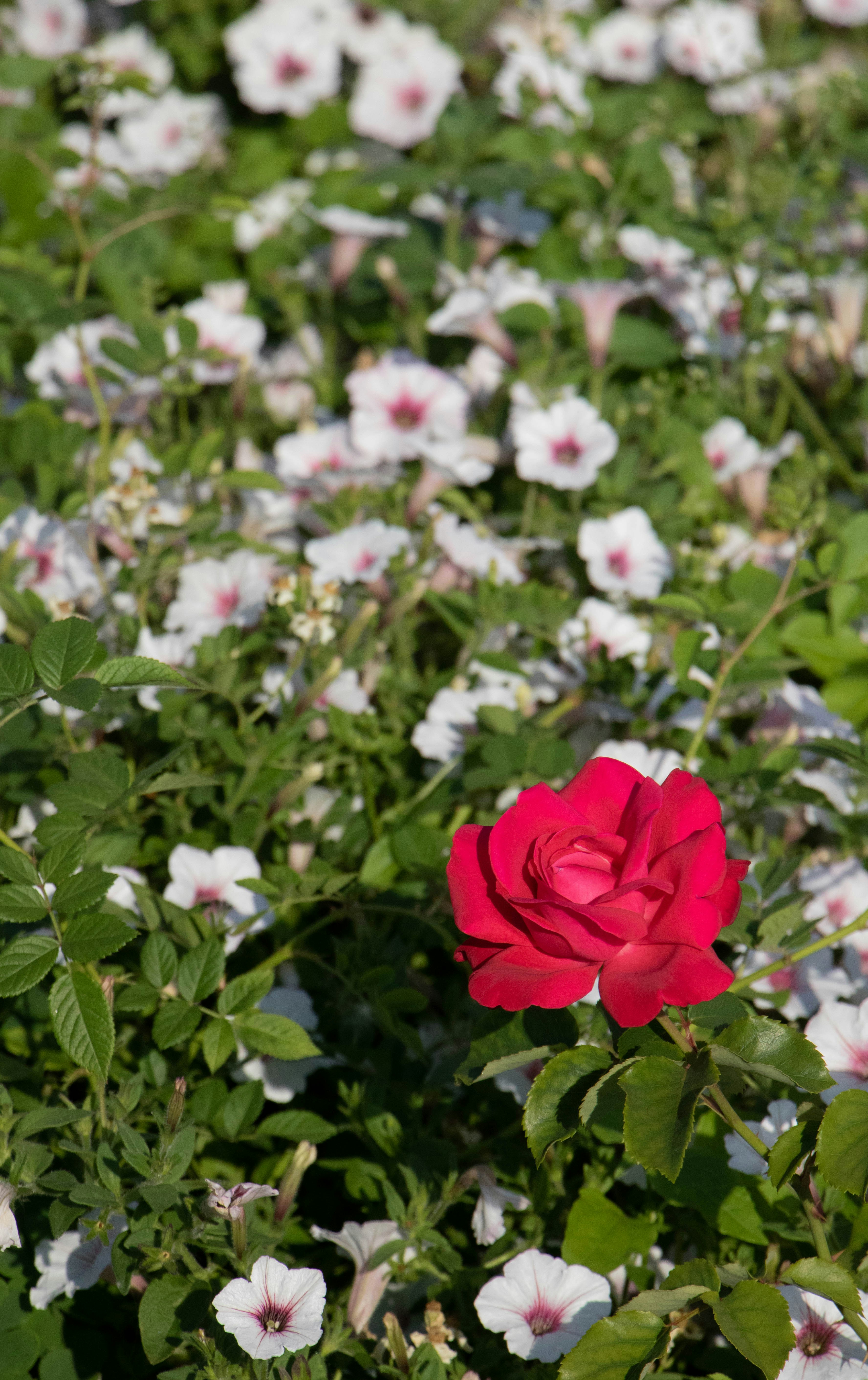 Photo by filipp_karpenko