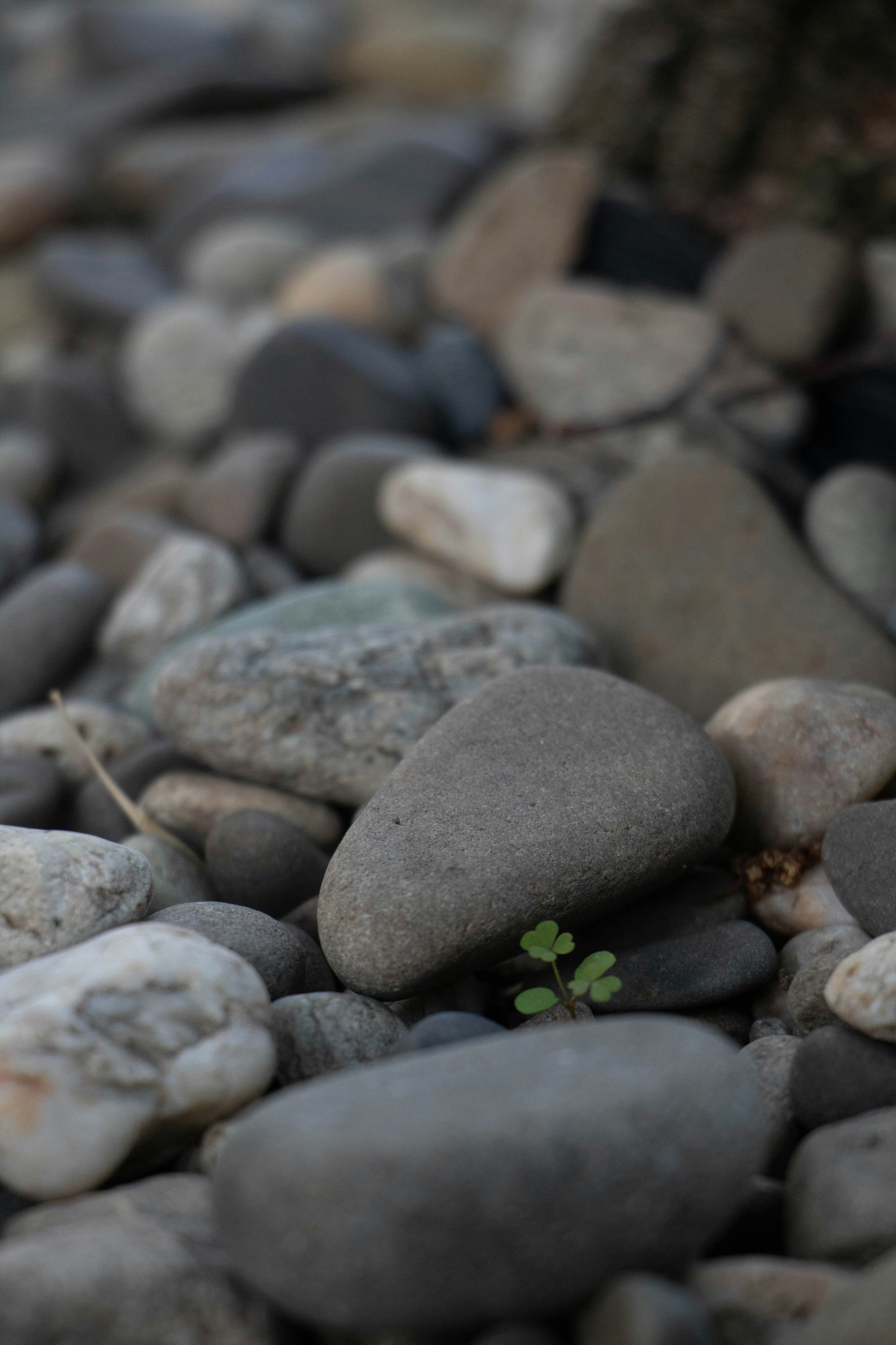 Photo by filipp_karpenko