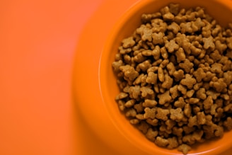 a bowl of coffee beans