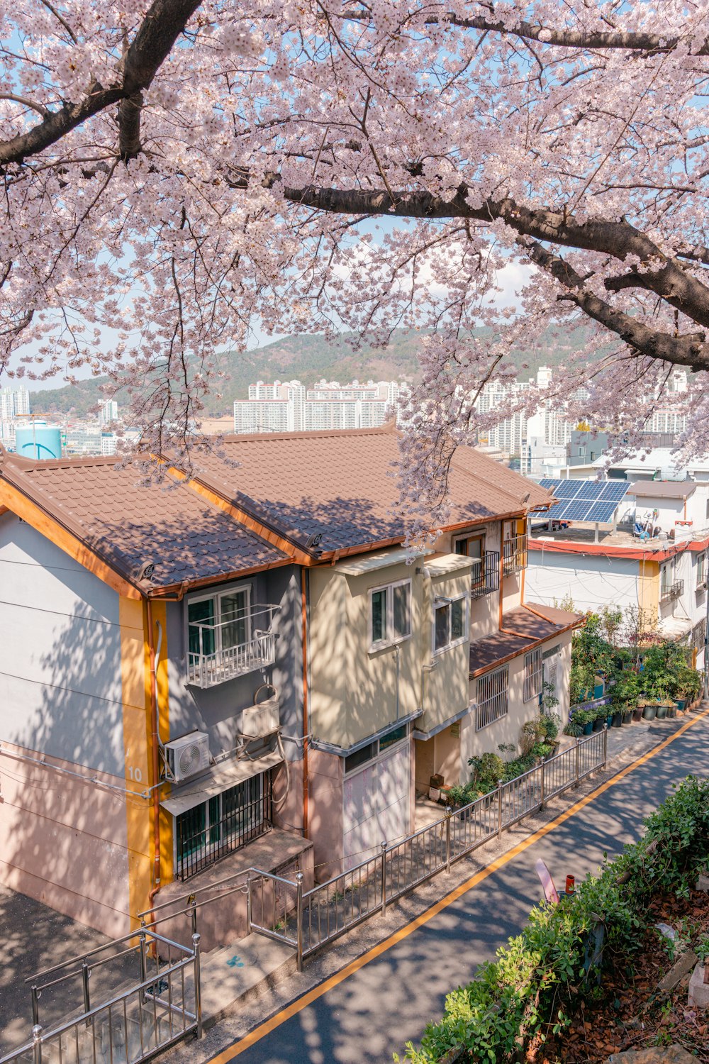 a tree next to a building