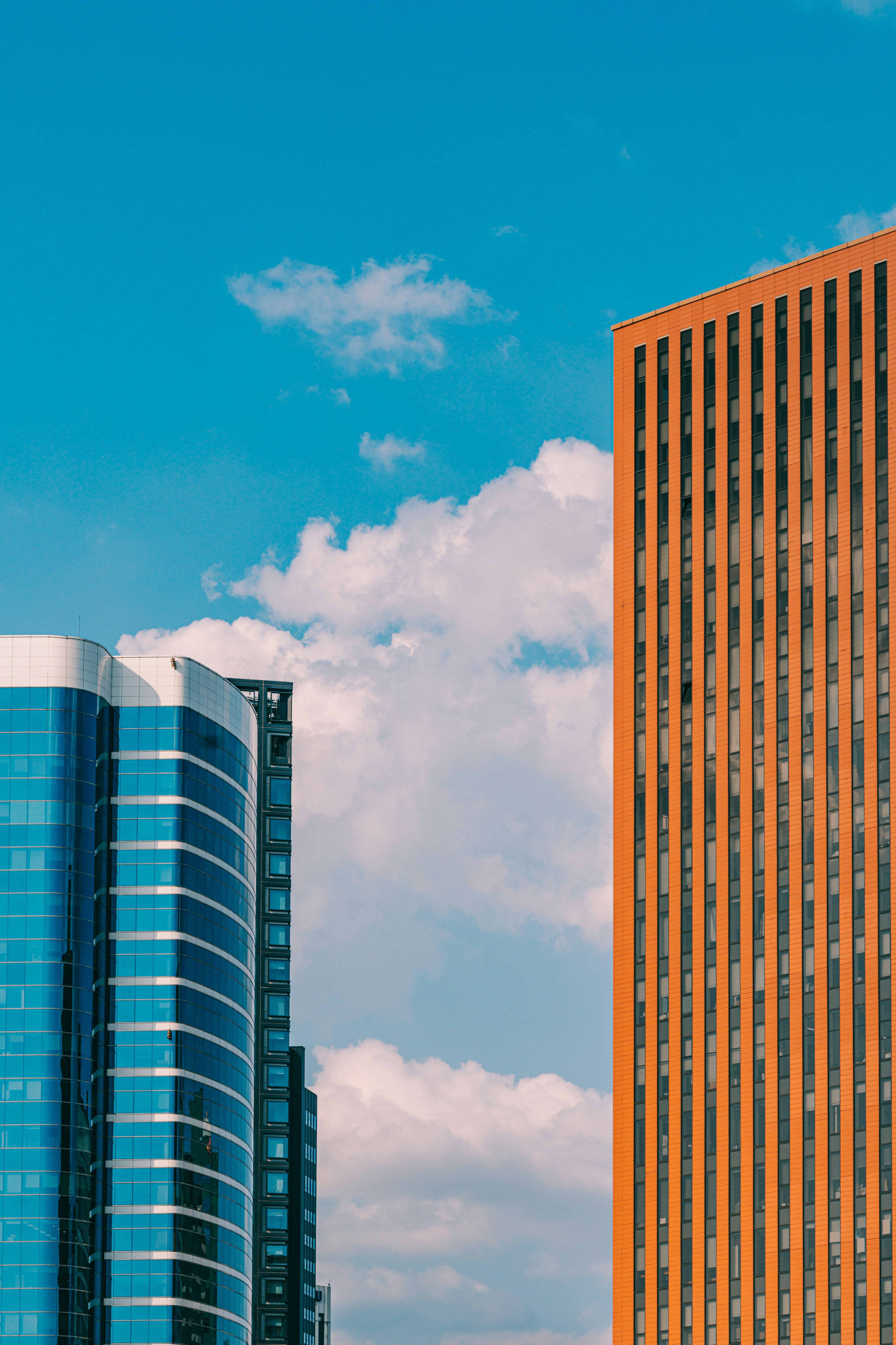 Photo by pigeon__pic