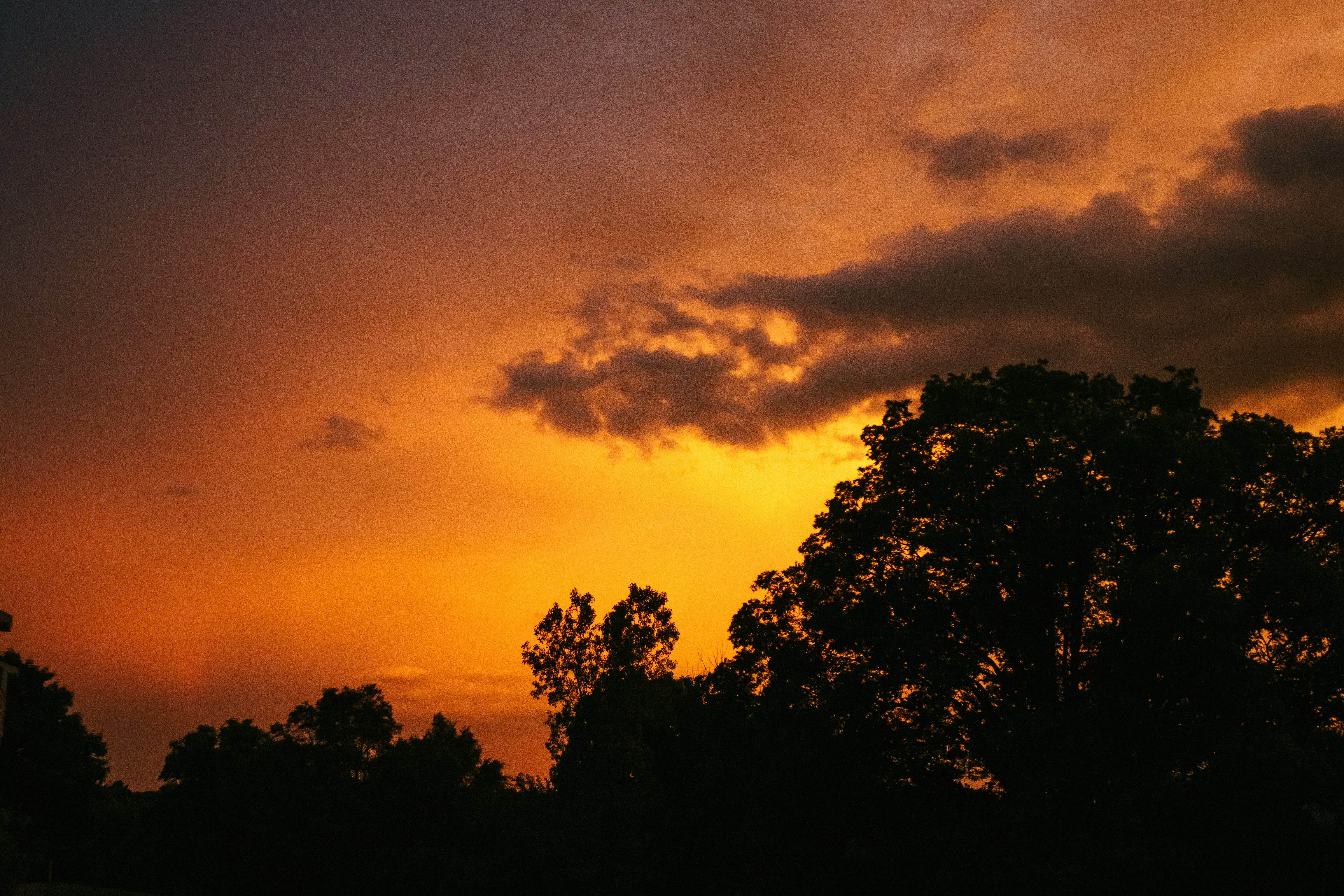 Photo by calebminear