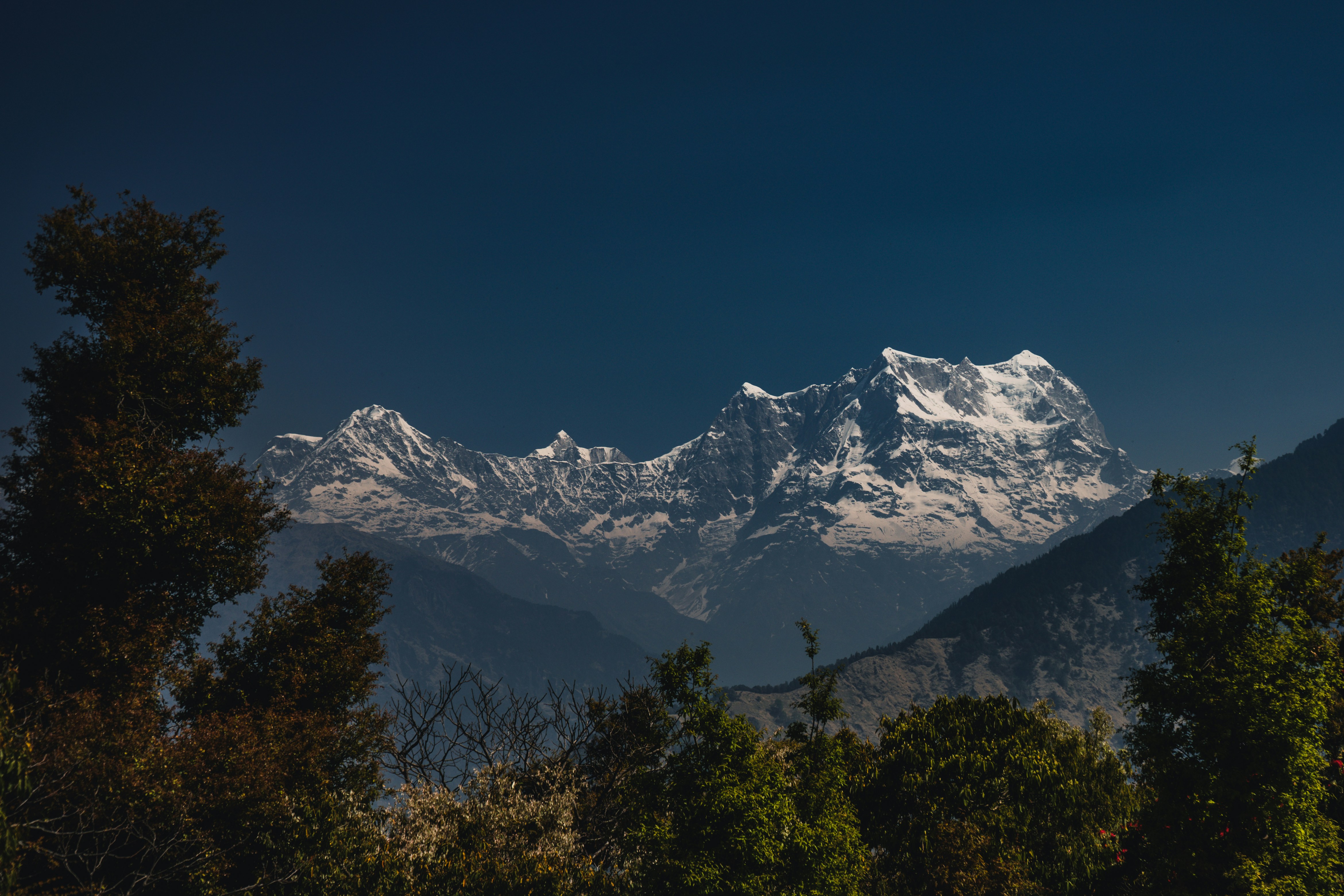 Photo by photographsbyashish