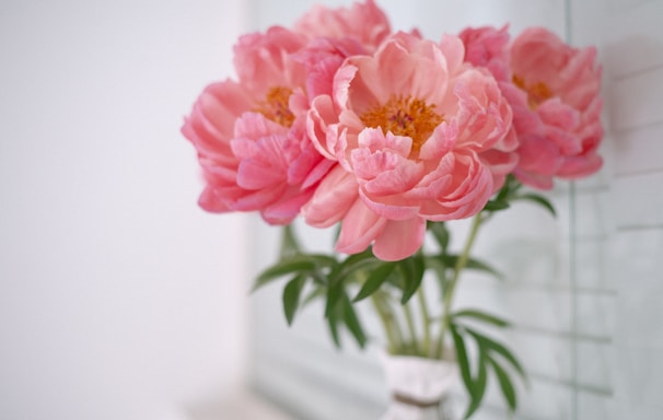 a vase with pink flowers