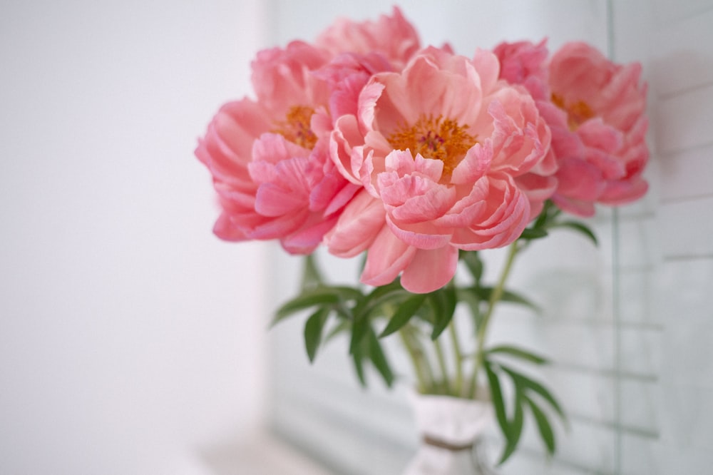 a vase with pink flowers