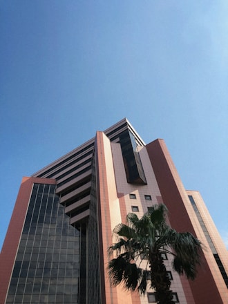 a tall building with a palm tree