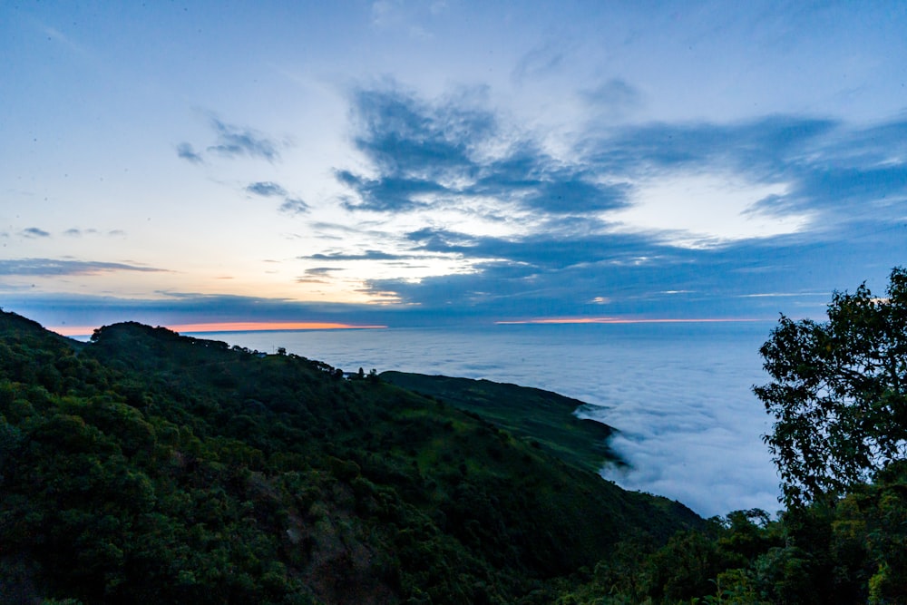 a view of the ocean from a hill