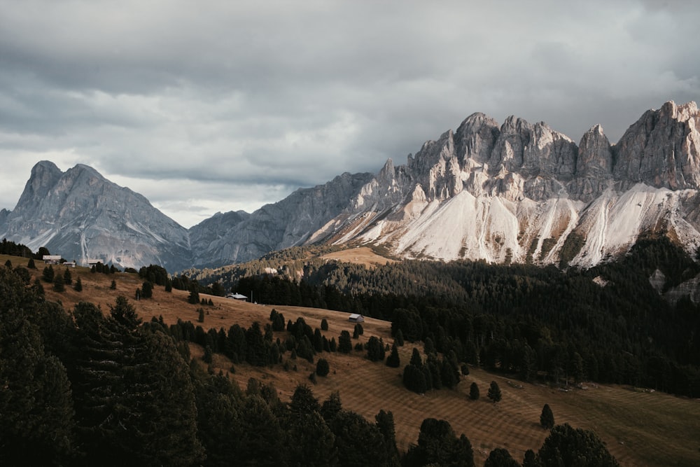 a landscape with trees and mountains in the back