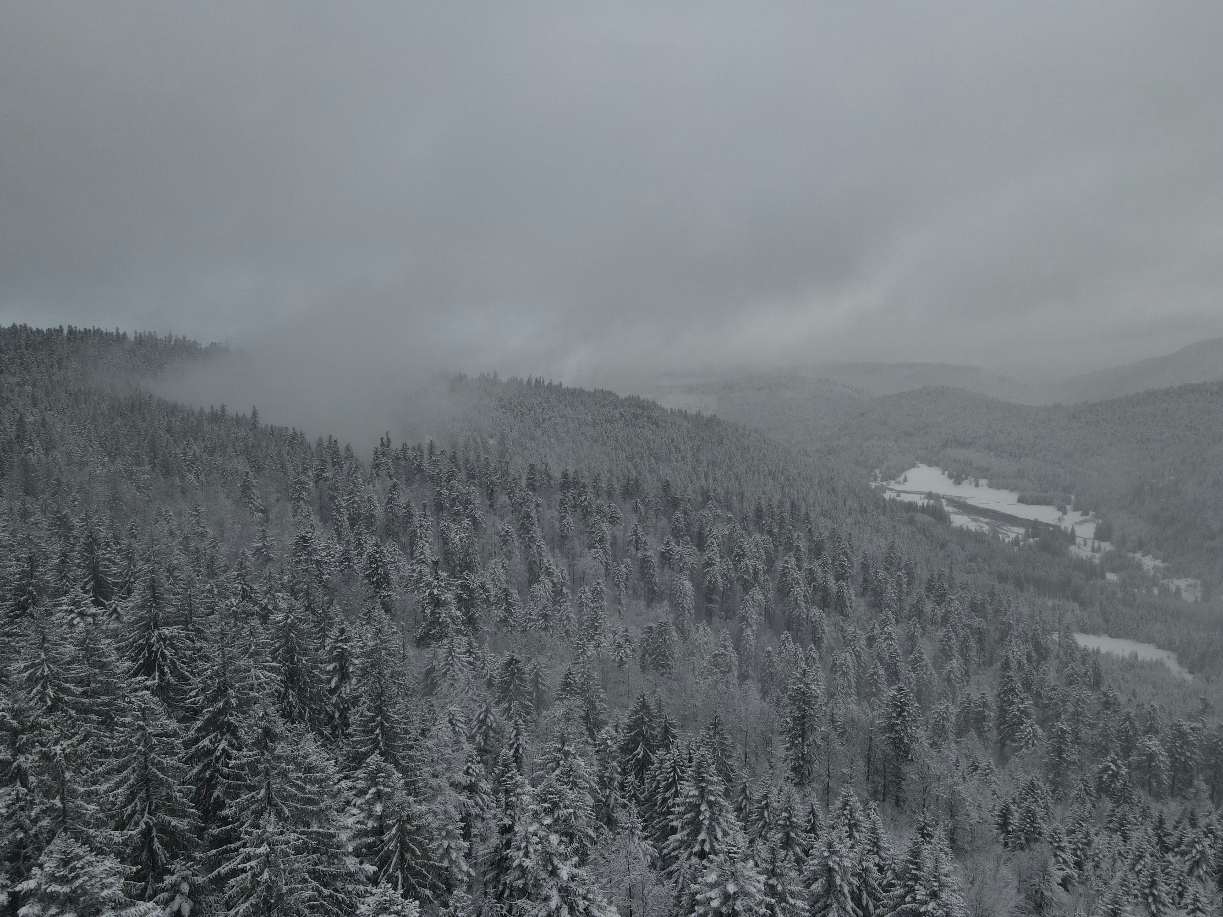 Photo by guillaumevdn