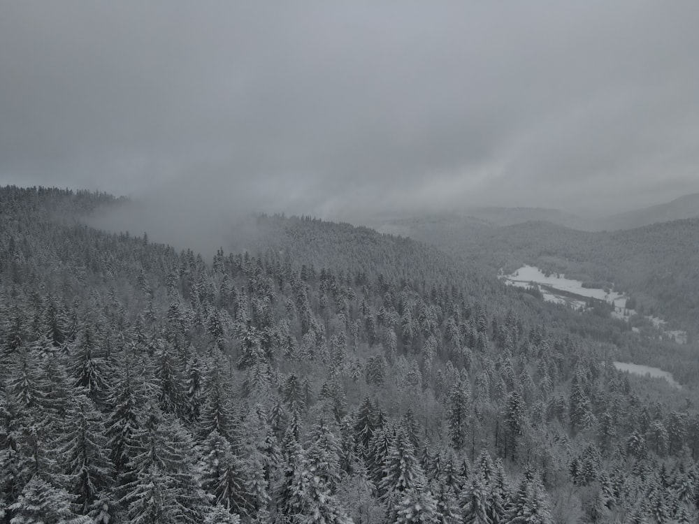 a snowy mountain with trees