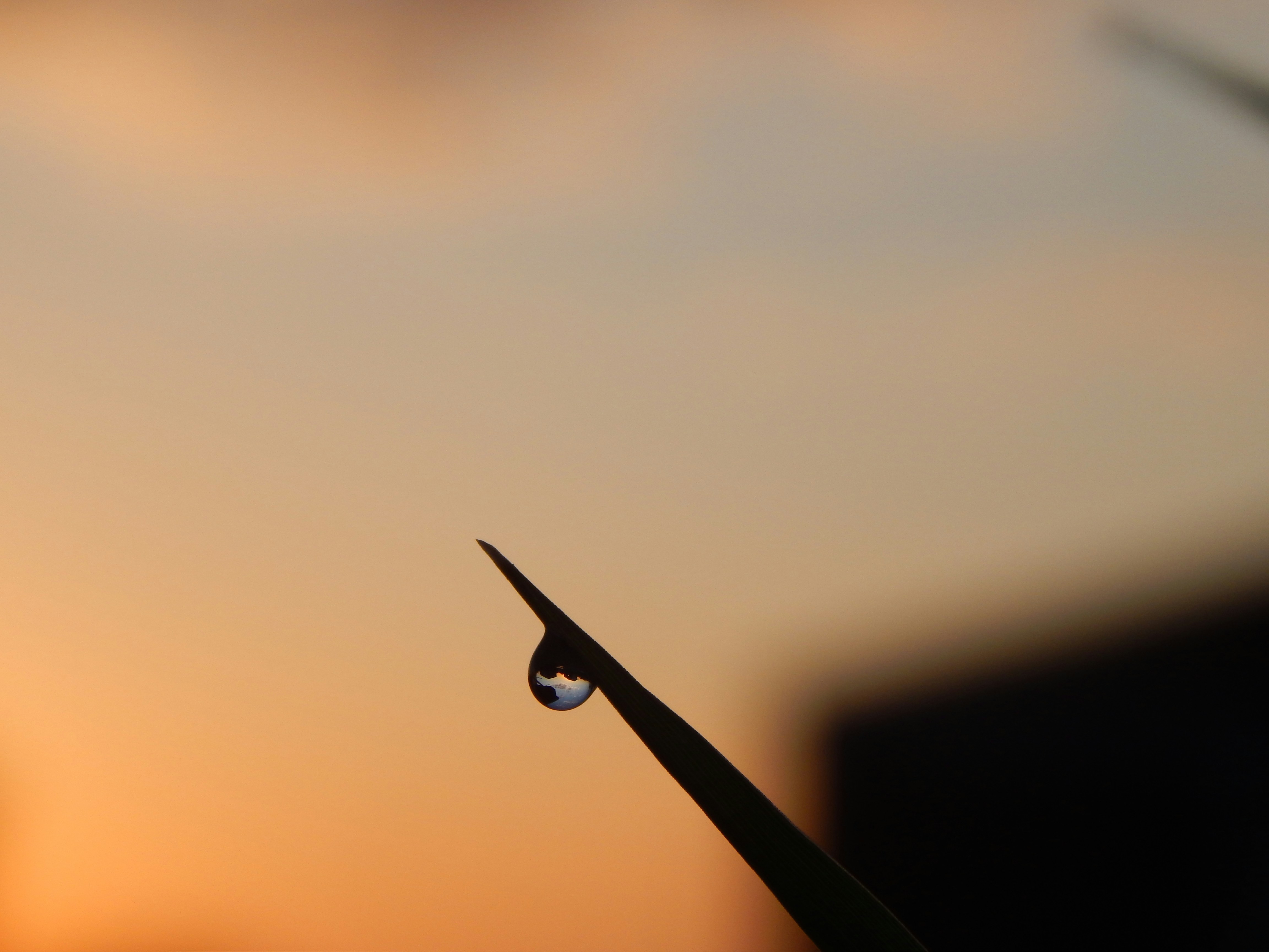 Photo by scarlettweiss