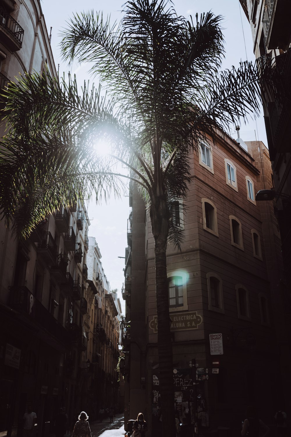 a street with buildings and trees