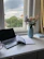 A serene workspace with natural light, a tidy desk, and calming plants nearby.