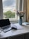 A serene workspace with plants and natural light, promoting a calming atmosphere.