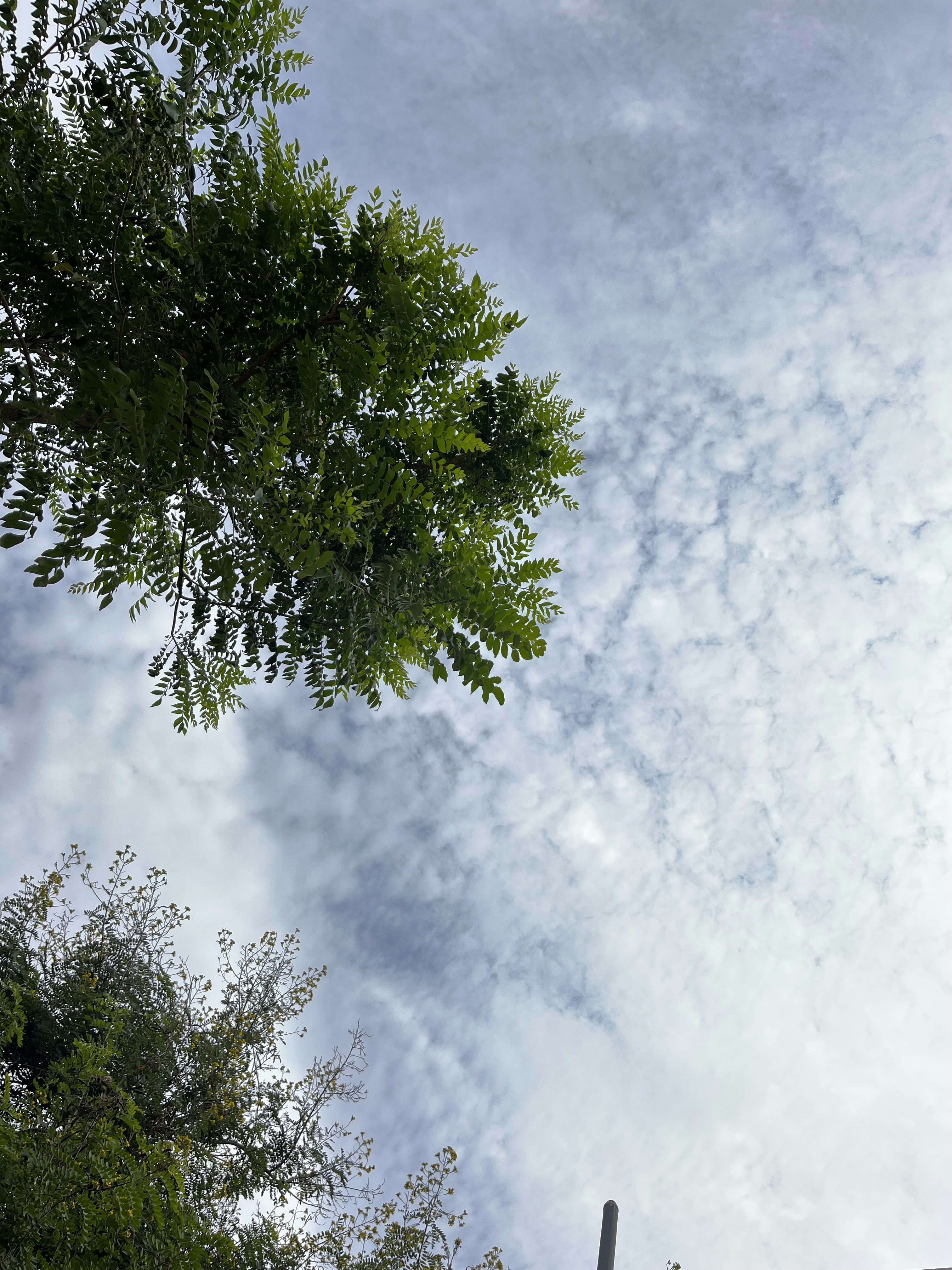 Photo by gurjinderkumarrana78