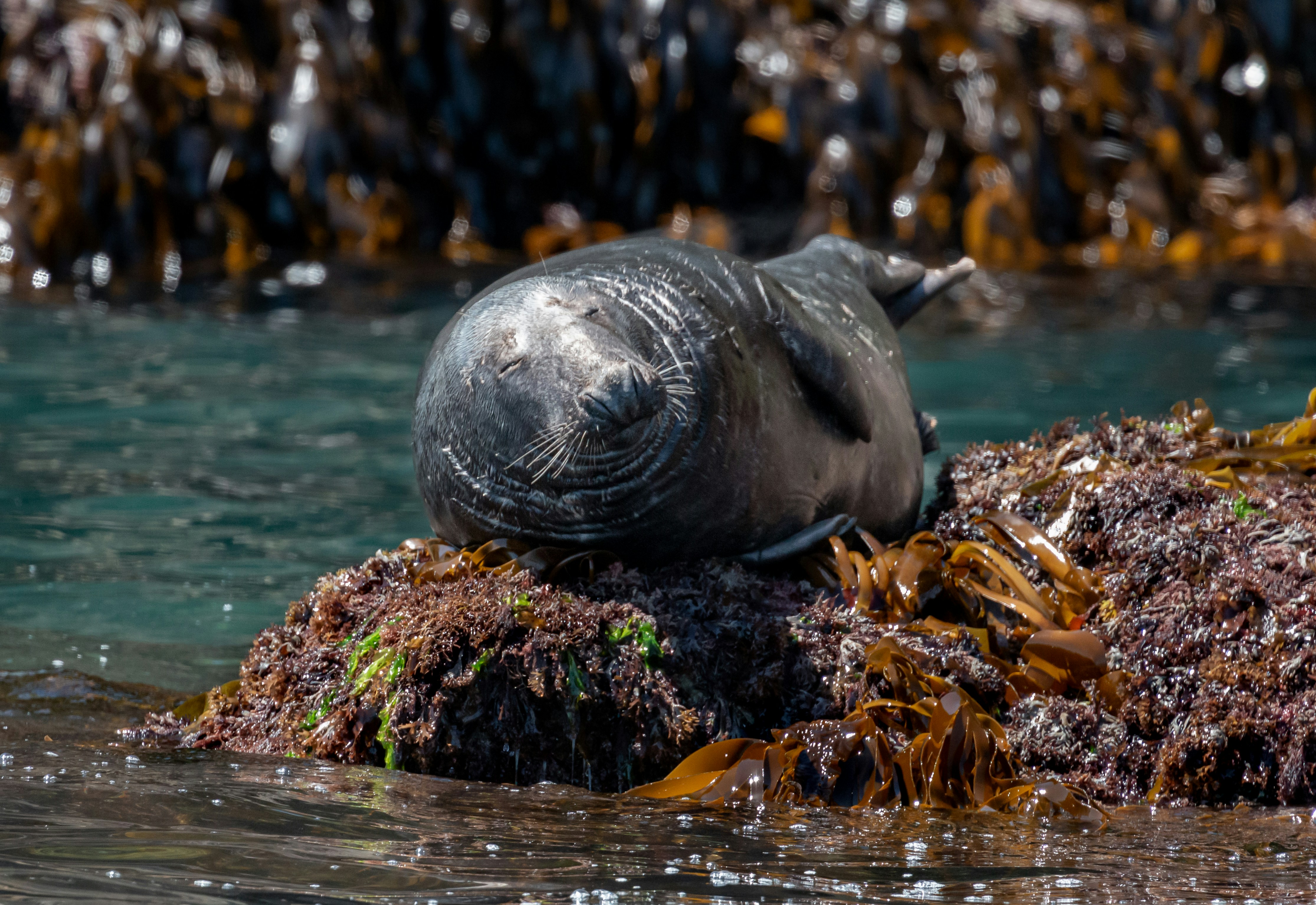 Photo by raymondo600