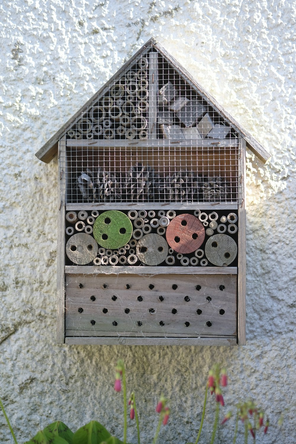 a bird cage with a couple of birds inside