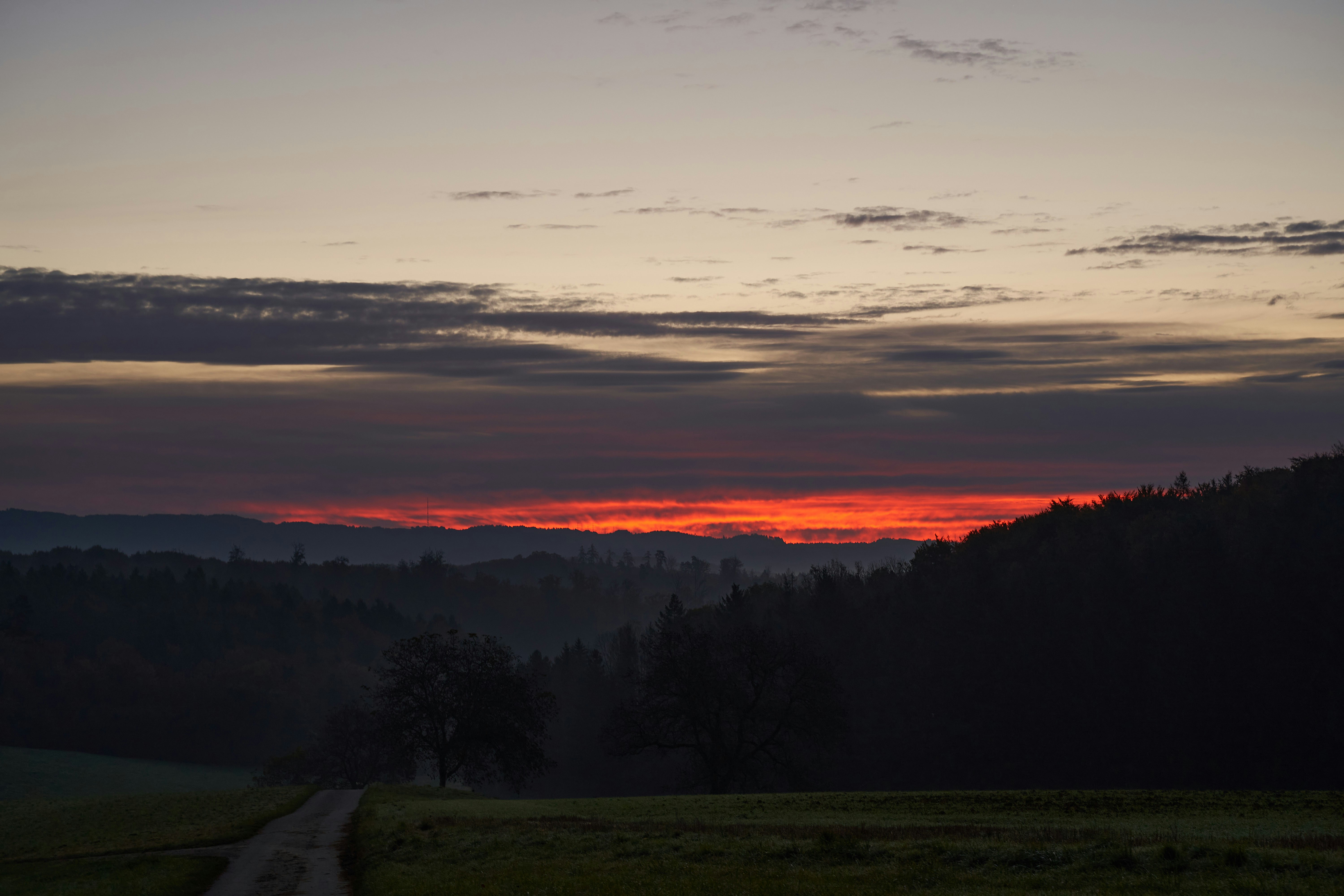 Photo by wolfgang_hasselmann