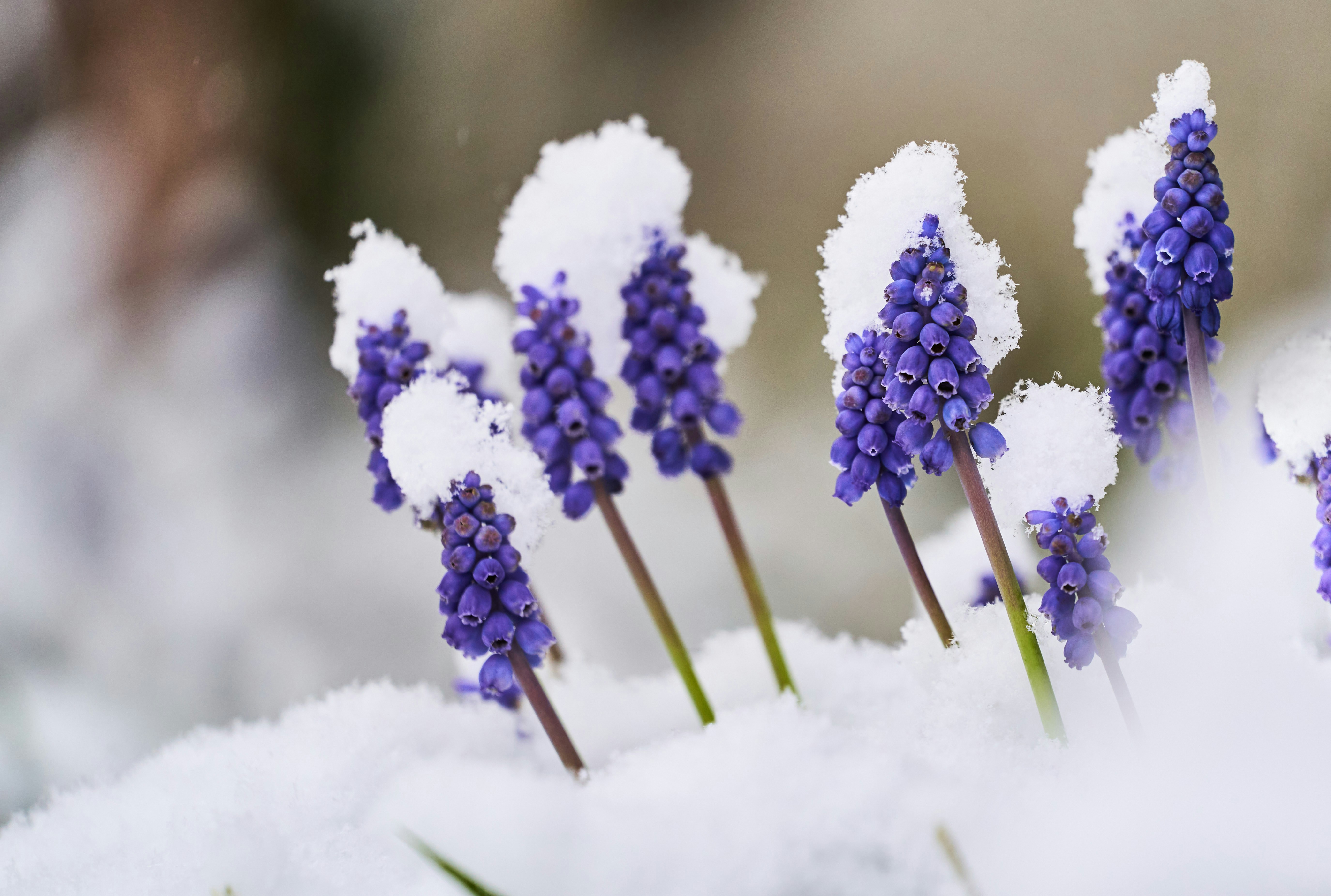 Photo by wolfgang_hasselmann