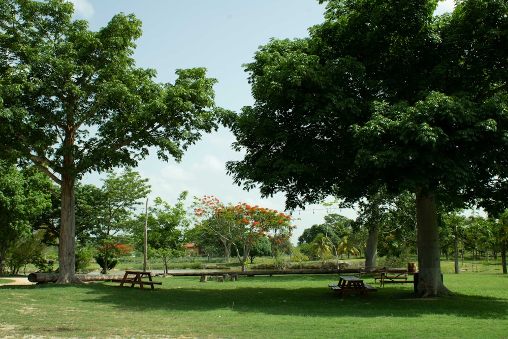 Un parque con mesas de picnic