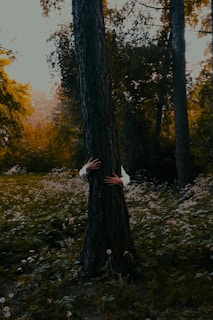 In a dense forest with abundant greenery, a pair of hands, wearing a white shirt, is seen hugging a tree trunk. The background features dappled sunlight filtering through the tall trees and a ground covered in wild plants and dandelions.