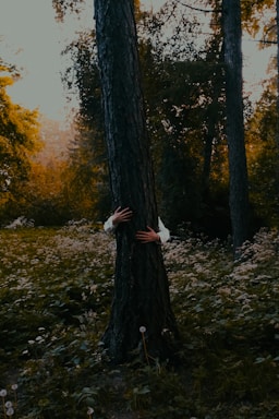 In a dense forest with abundant greenery, a pair of hands, wearing a white shirt, is seen hugging a tree trunk. The background features dappled sunlight filtering through the tall trees and a ground covered in wild plants and dandelions.