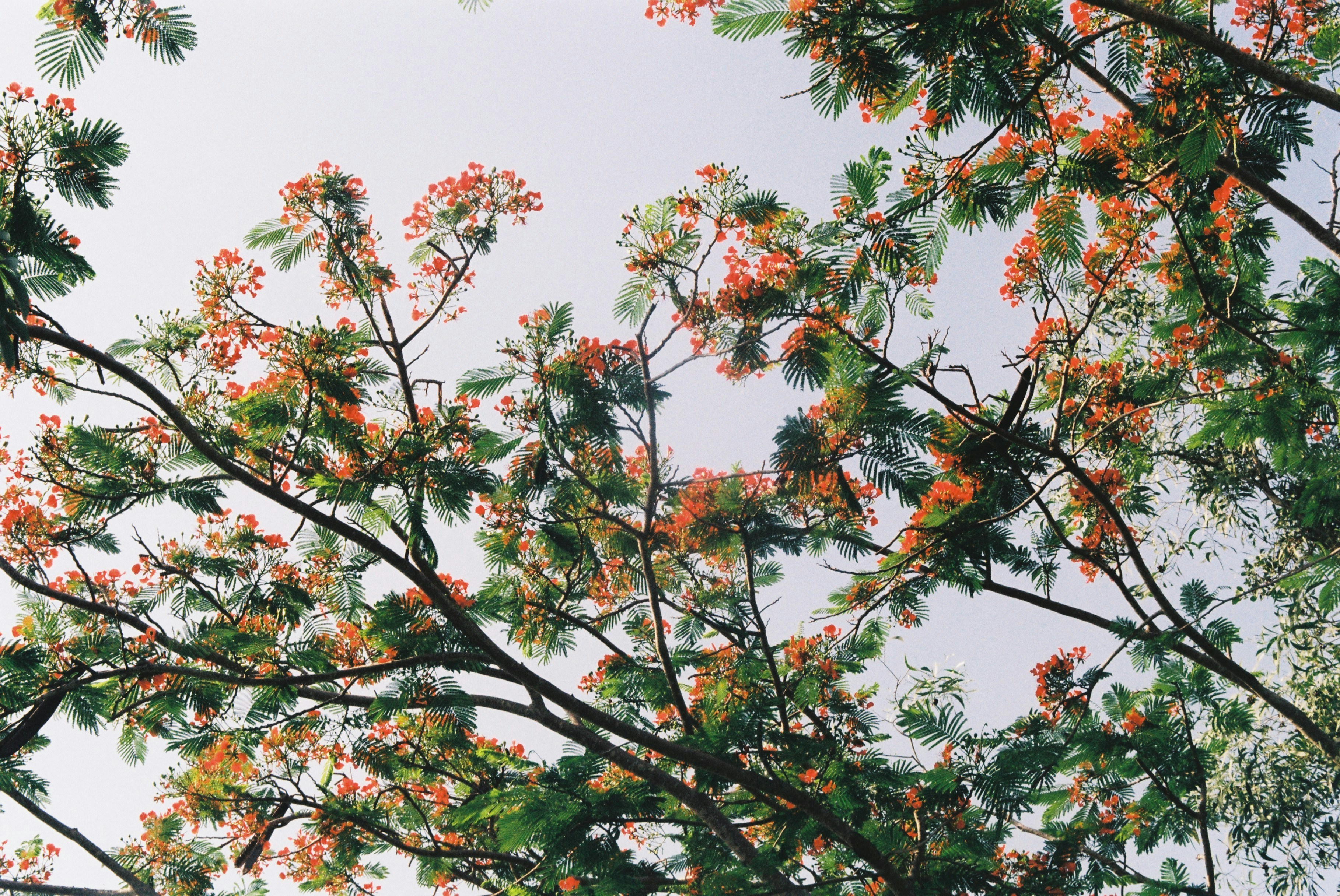 Photo by cuonfilmcuala