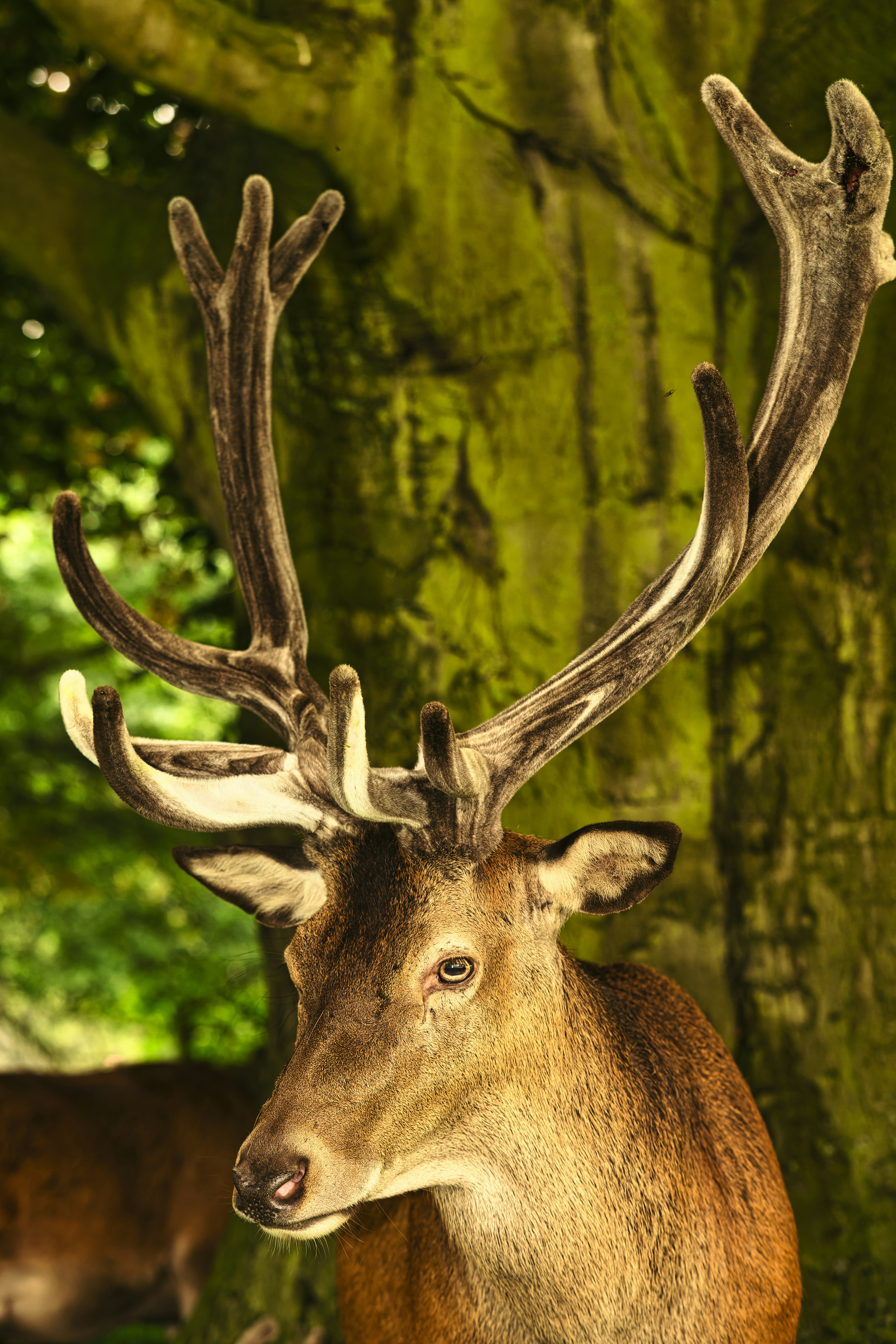 Photo by iankelsall1