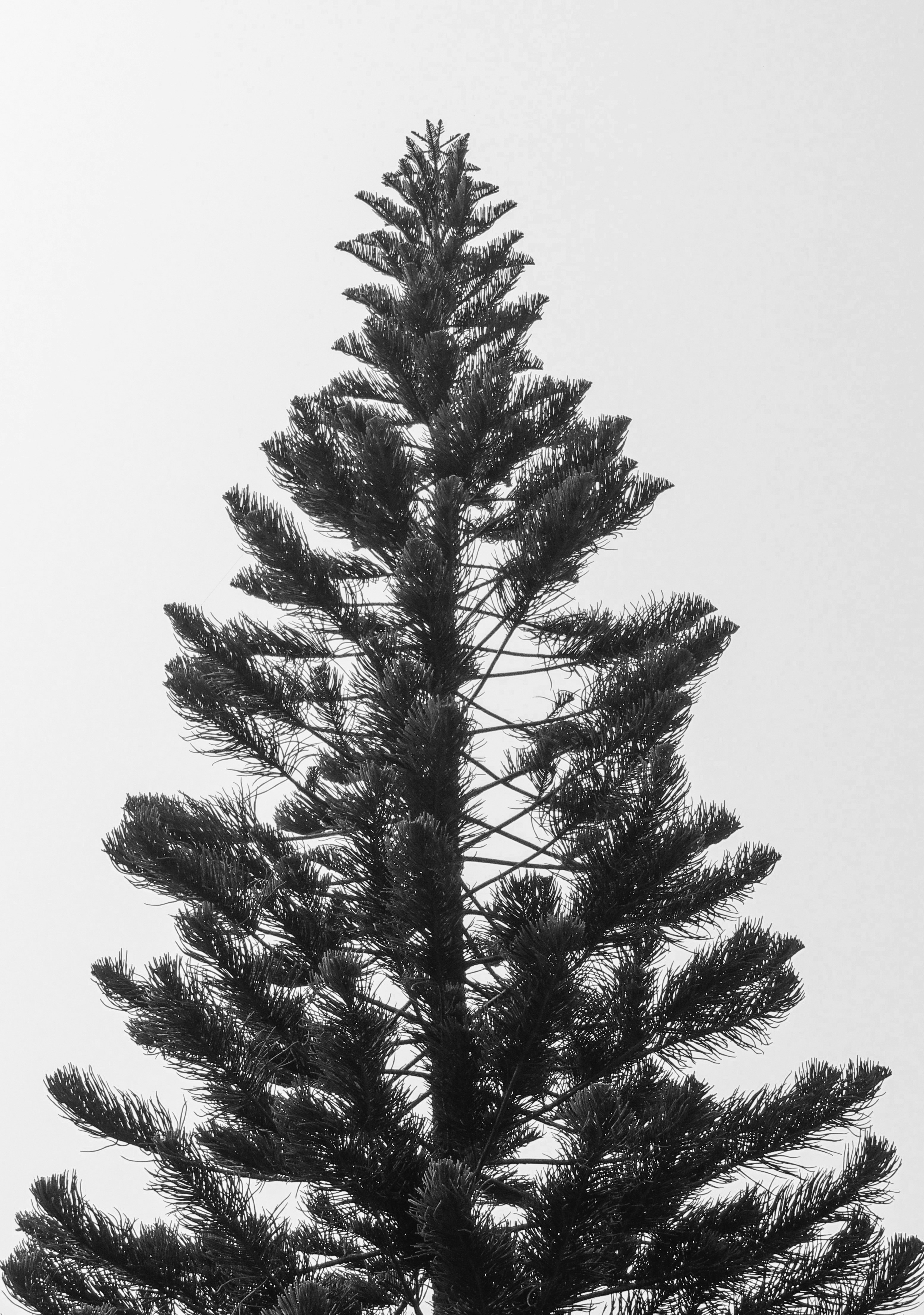 Photo by qurratulayin