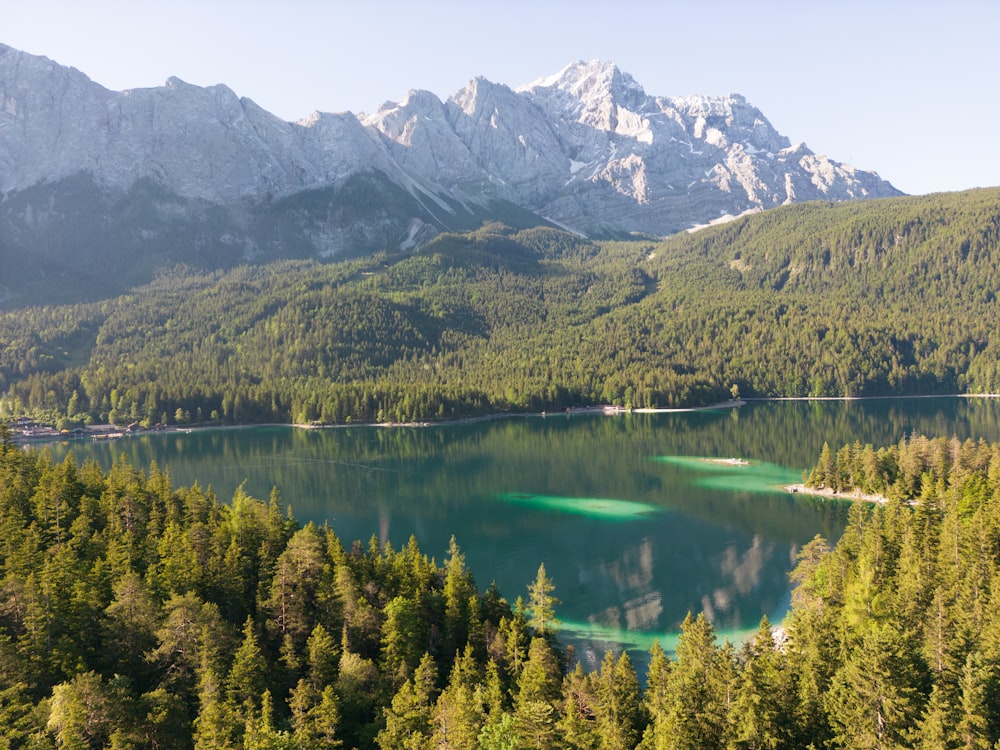 Un lago rodeado de árboles y montañas