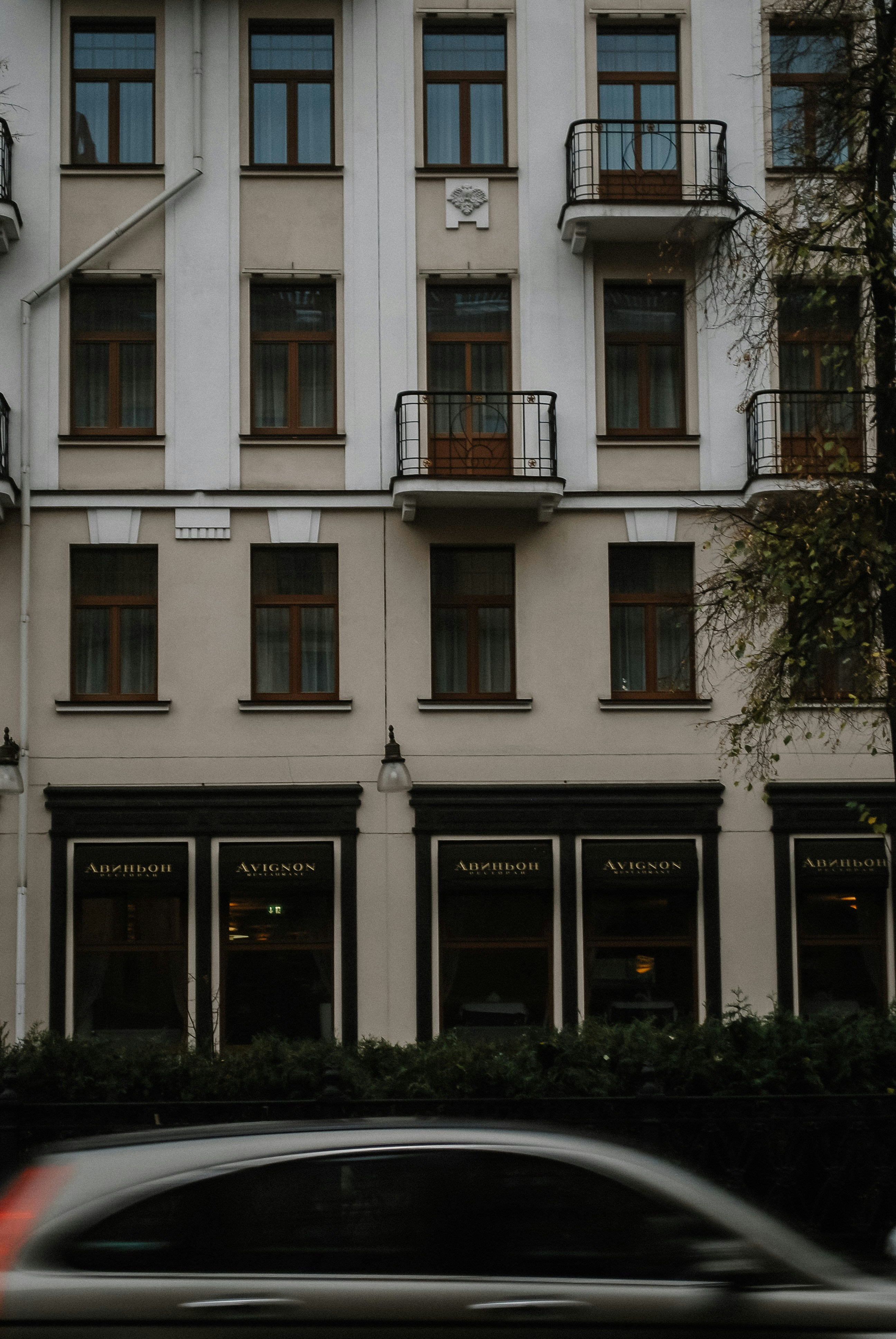 Photo by lapshinakseniia