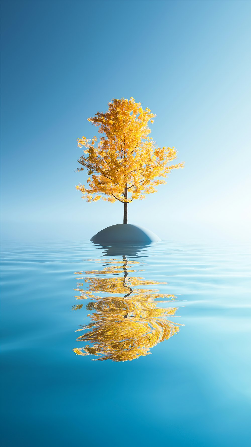 a tree in the water