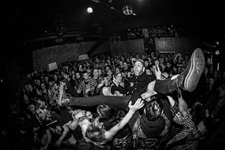 a crowd of people at a concert