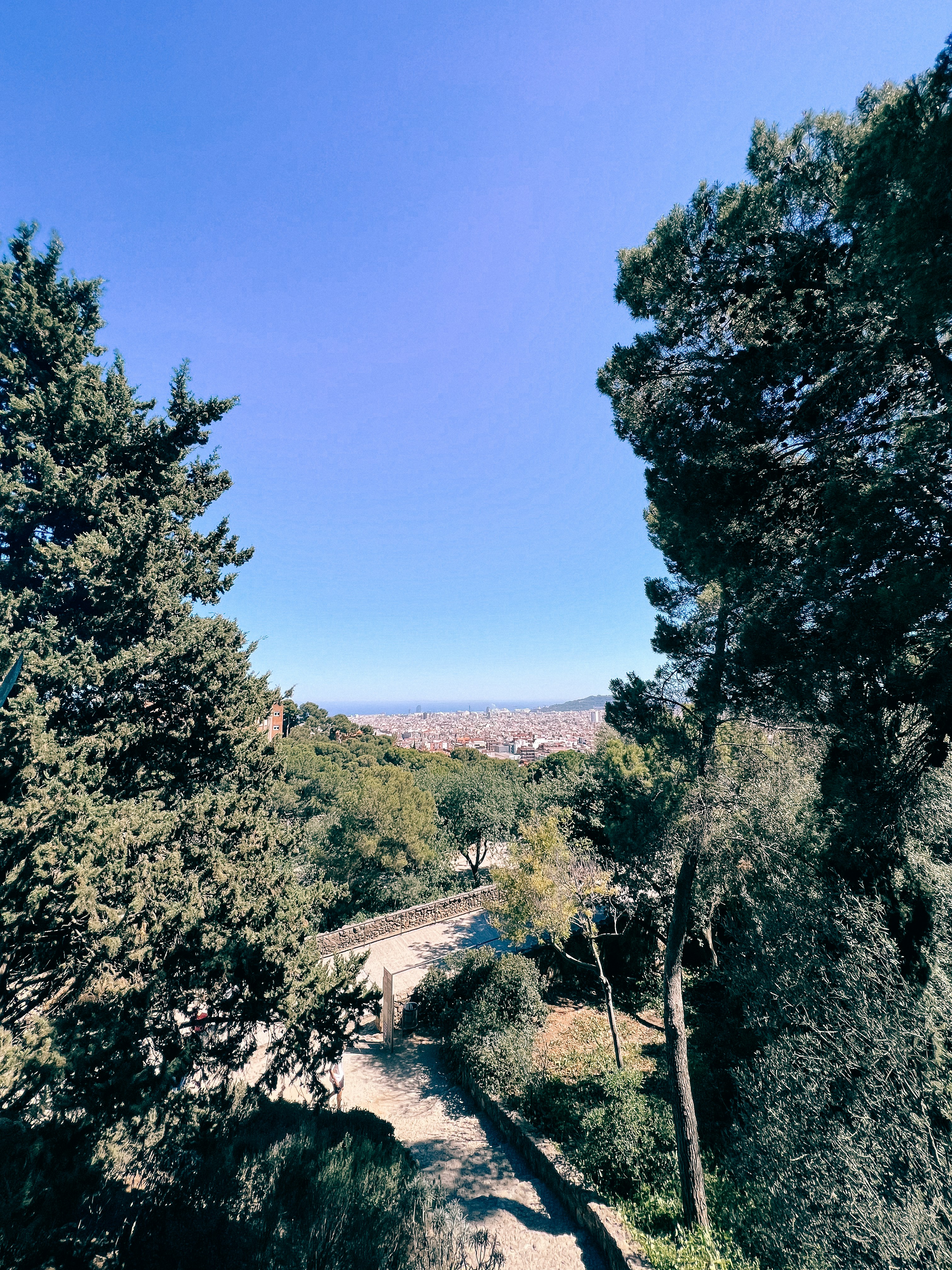 Photo by nateh0lland