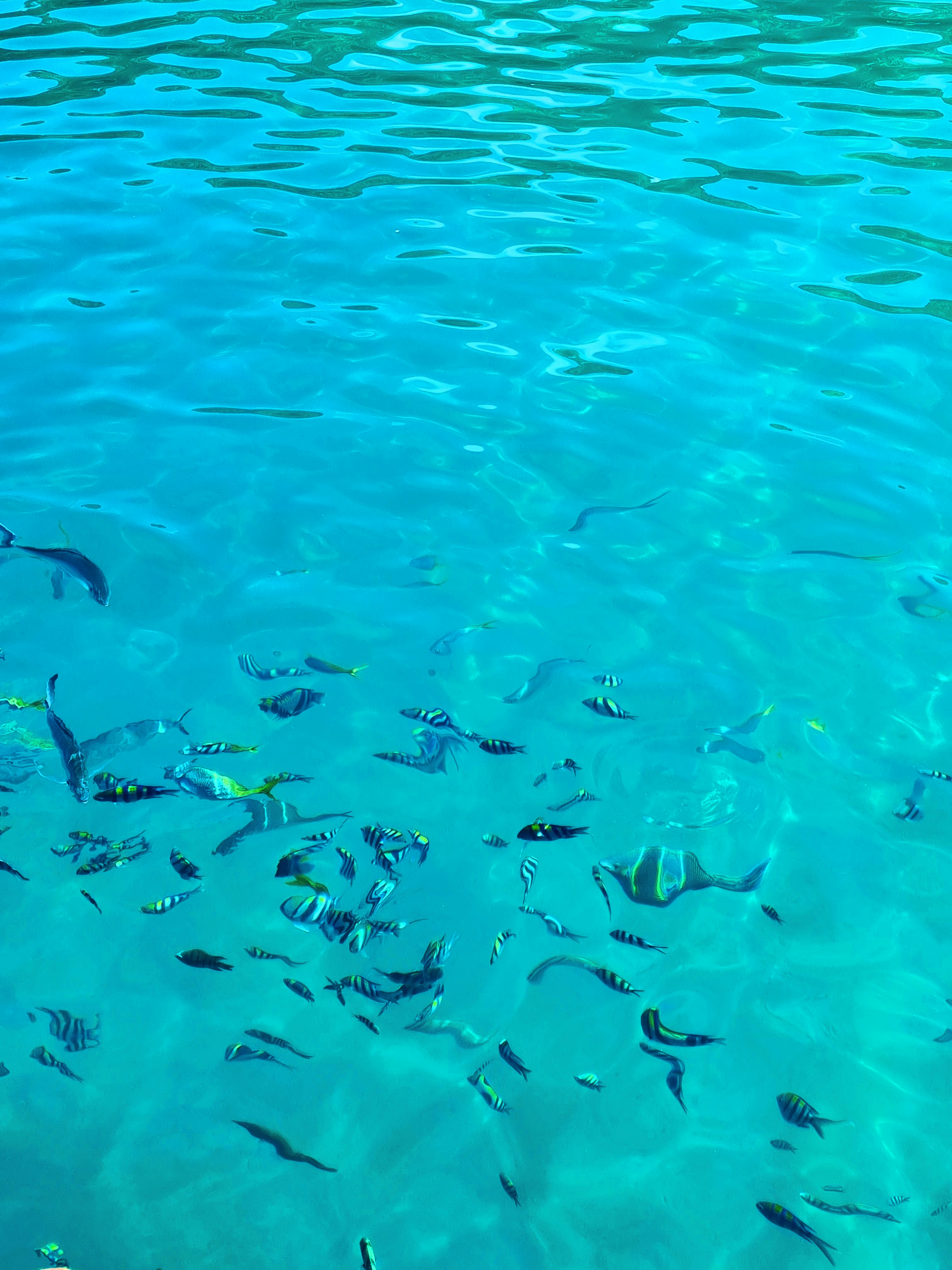 Aguas turquesas y cristalinas de Lagoa Azul 1