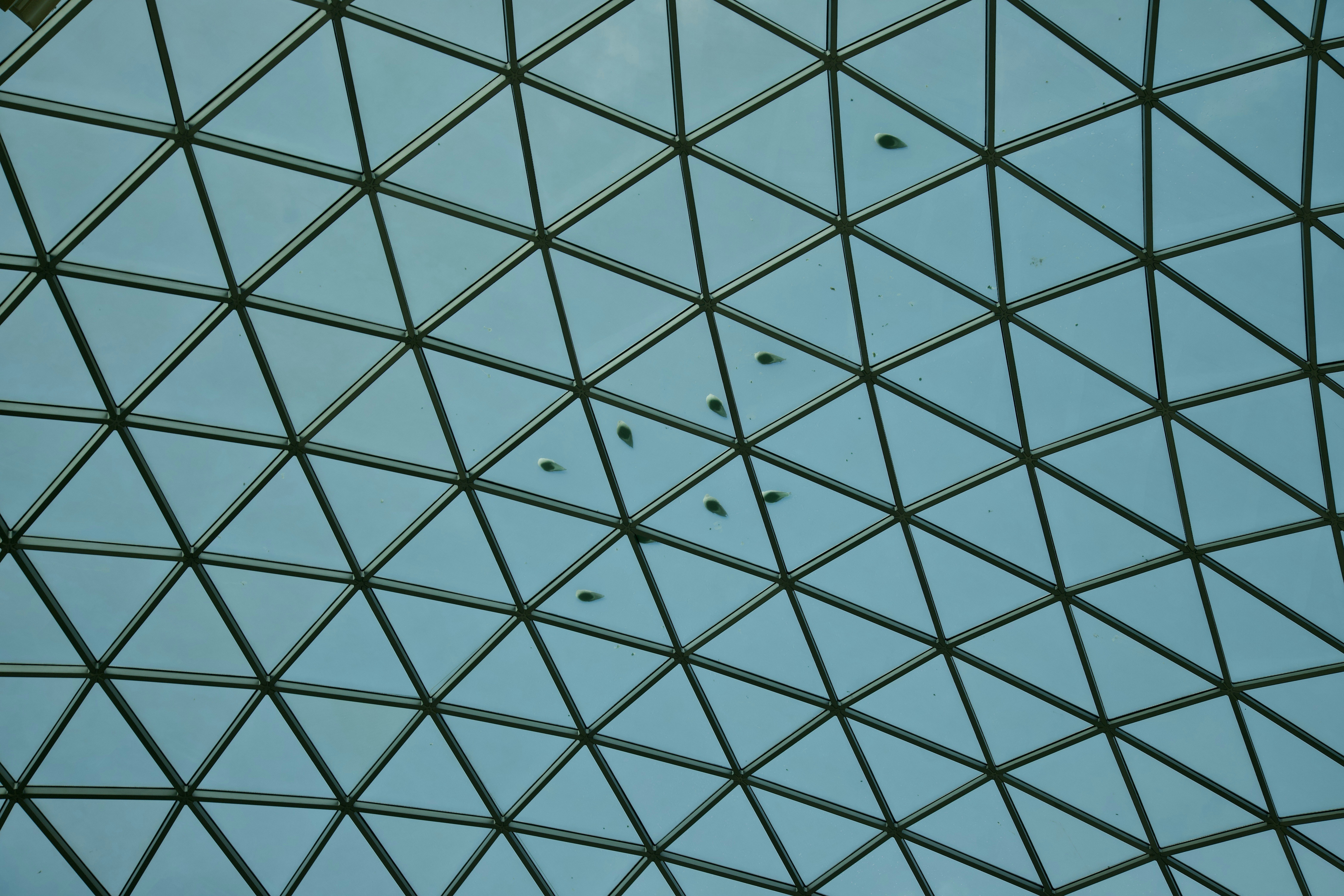 Photo by stockbirken