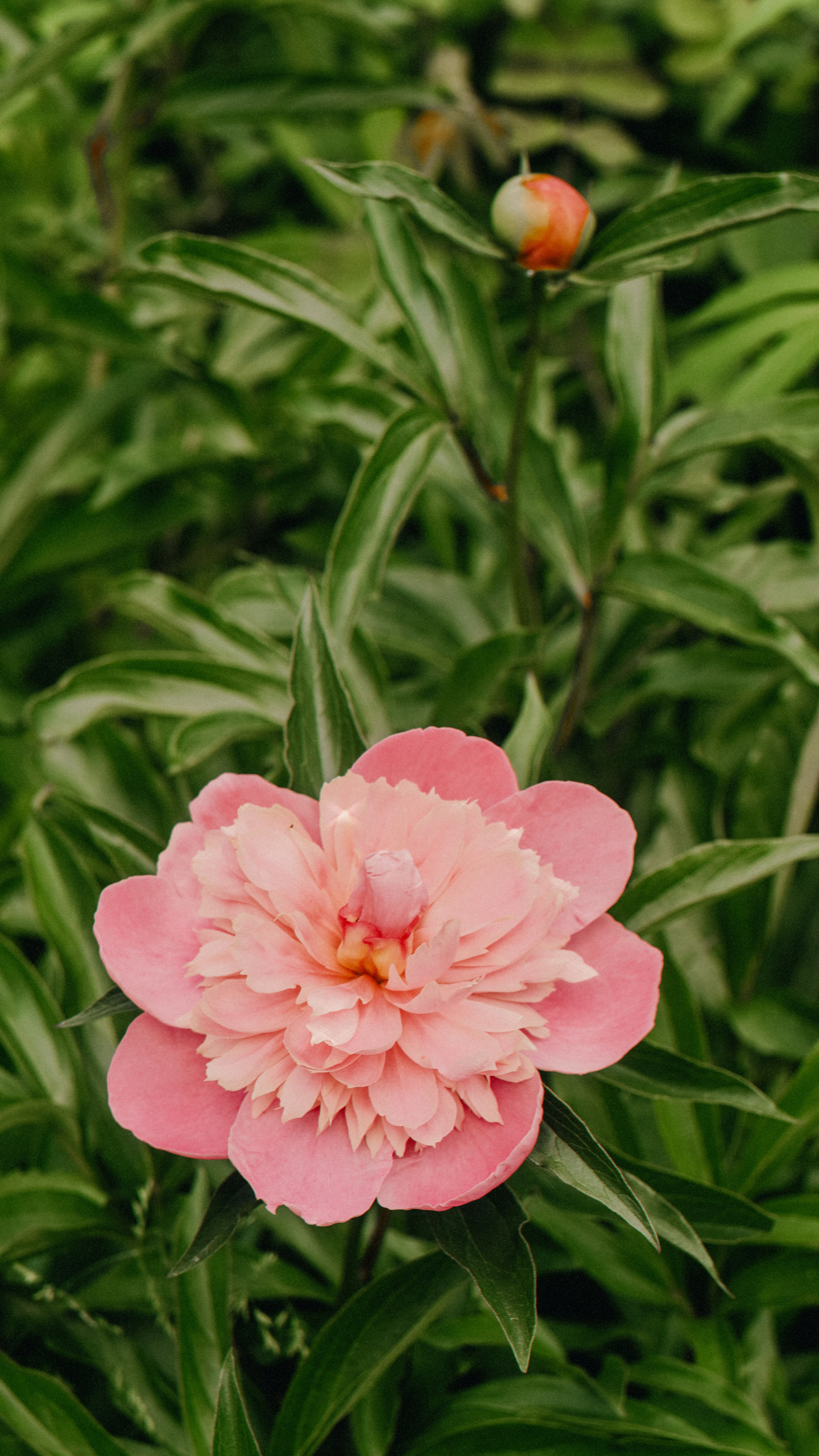 Photo by suleymanovae