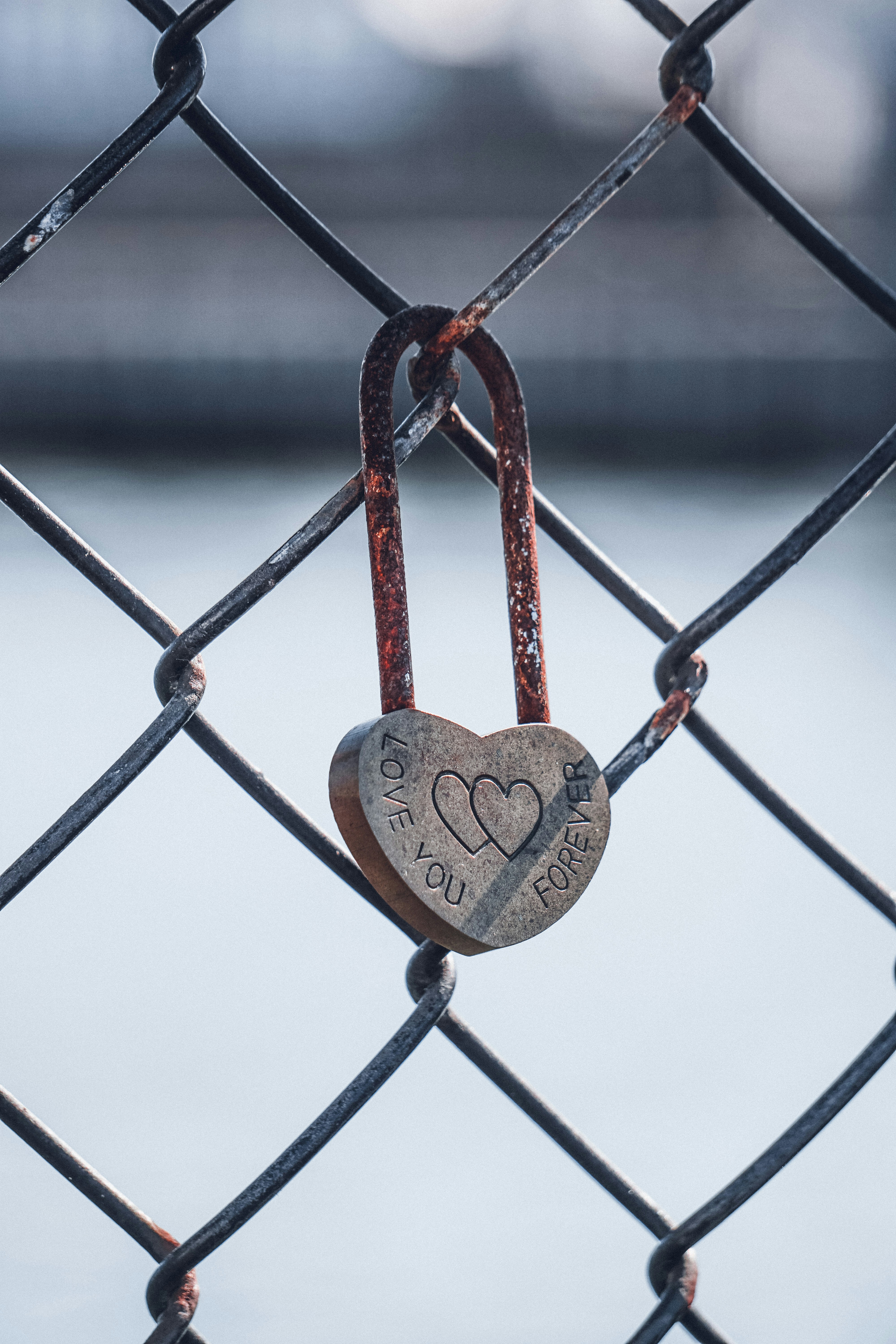 Photo by ja_domenech