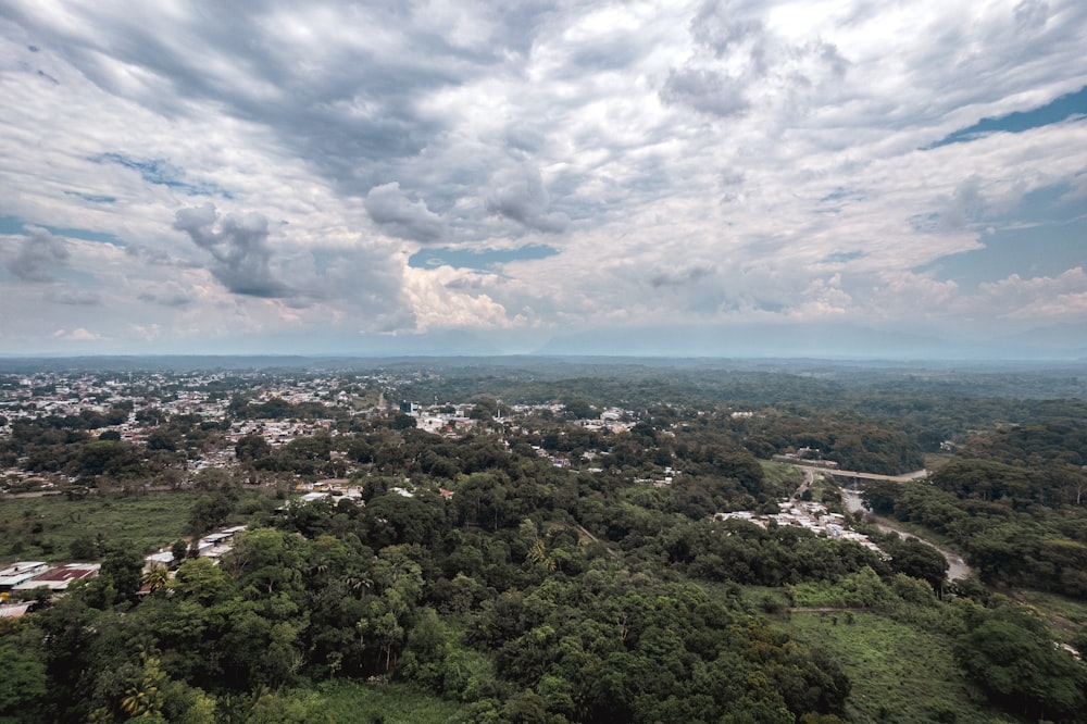 a landscape with trees and buildings