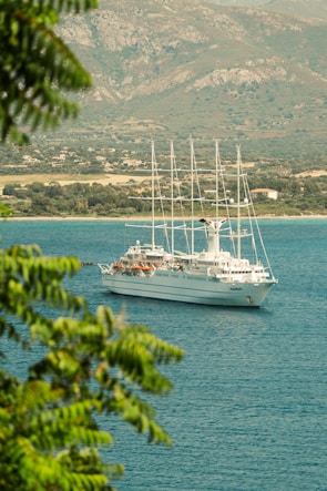 A large white cruise ship with several masts is sailing on a calm blue sea, partially framed by green foliage. In the background, a rocky landscape and a shoreline with scattered houses are visible, under a partially cloudy sky.