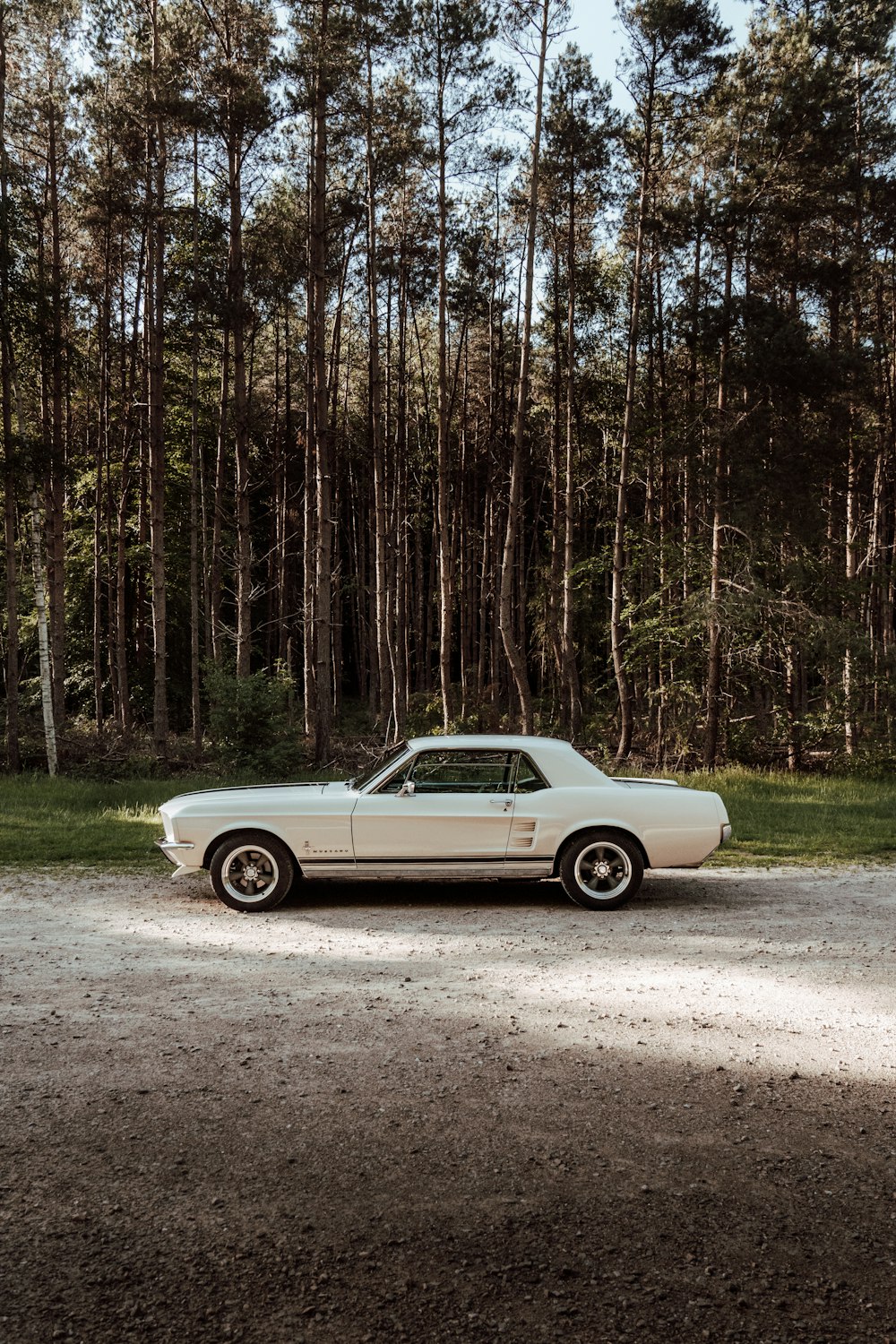 a white car parked in a wooded area