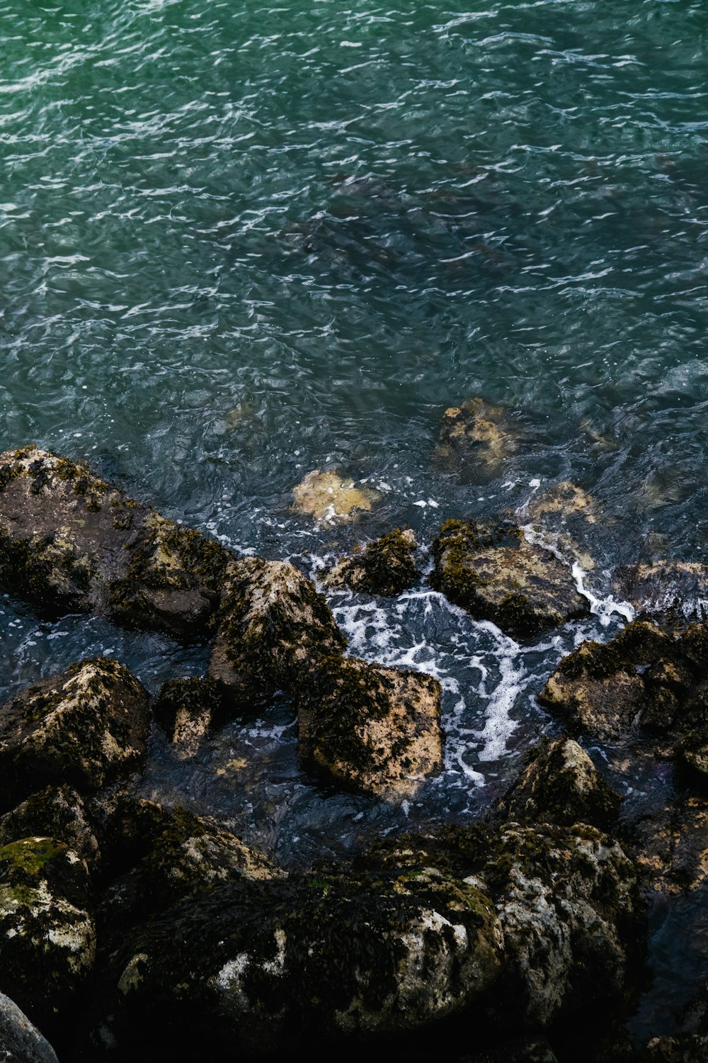 rocks in the water