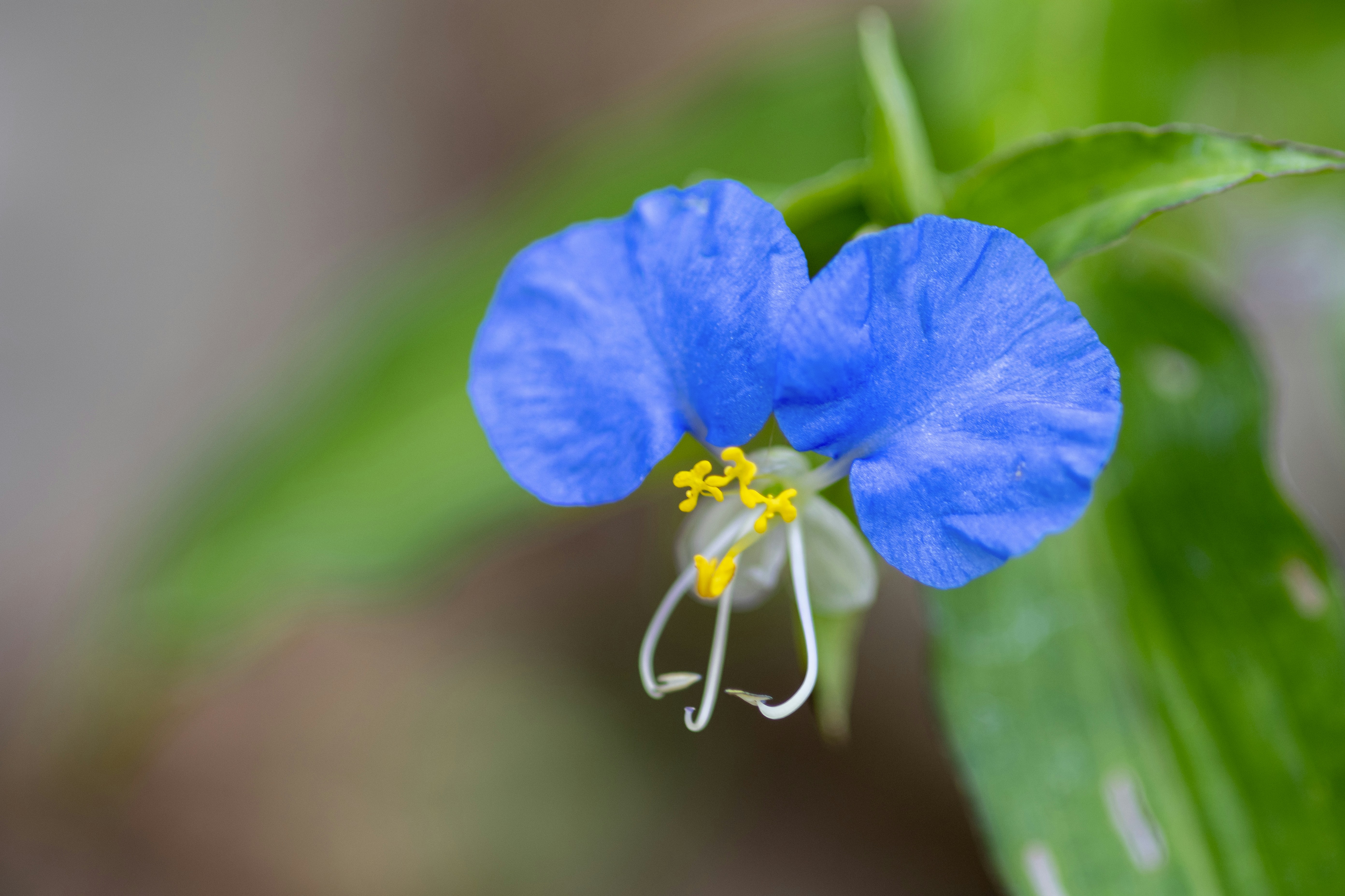 Photo by tracminhvu