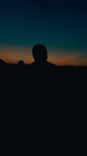 A silhouette of a police officer against a sunset backdrop.