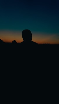 An artistic silhouette against a sunset backdrop.