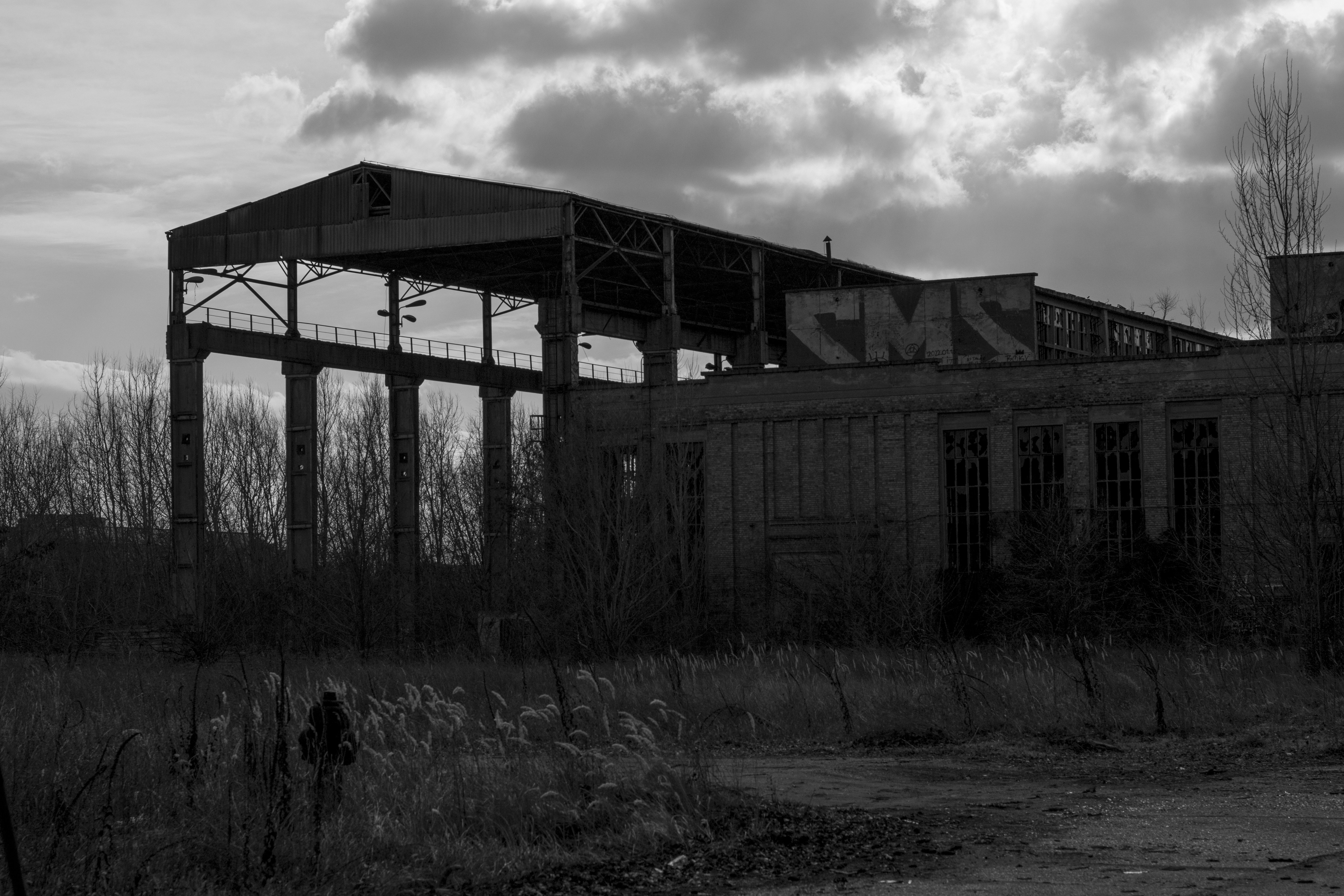 Photo by rm_photography