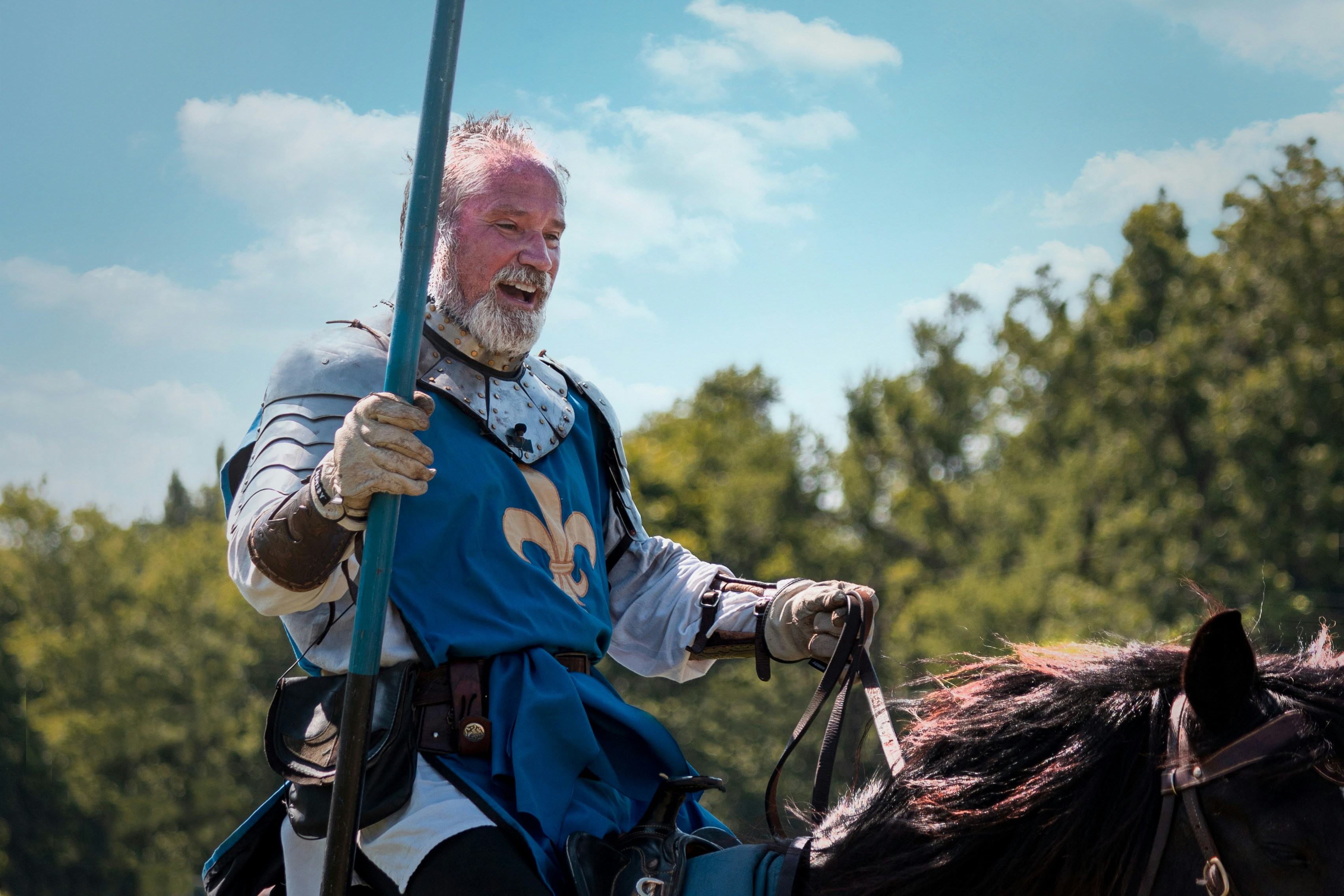 A man in a suit of armor and regal tabbard on a horse with a lance. He has Grey hair and Grey beard 