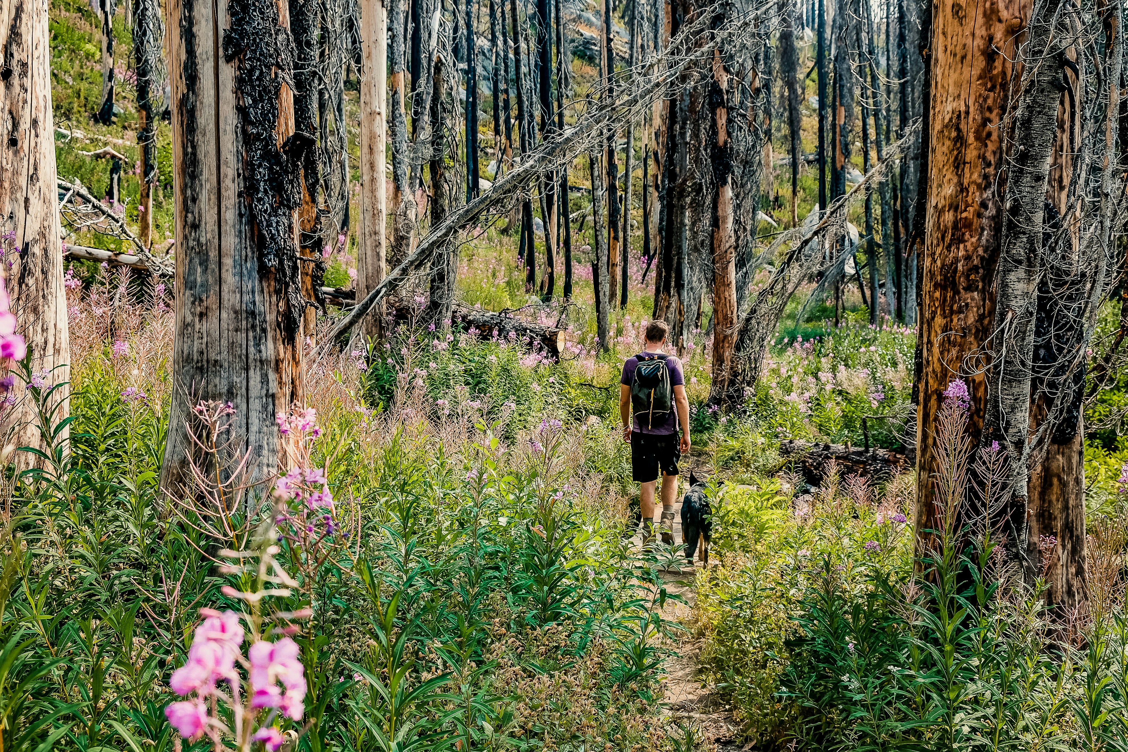 Photo by katiewallacephoto