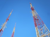 a group of red and yellow roller coasters